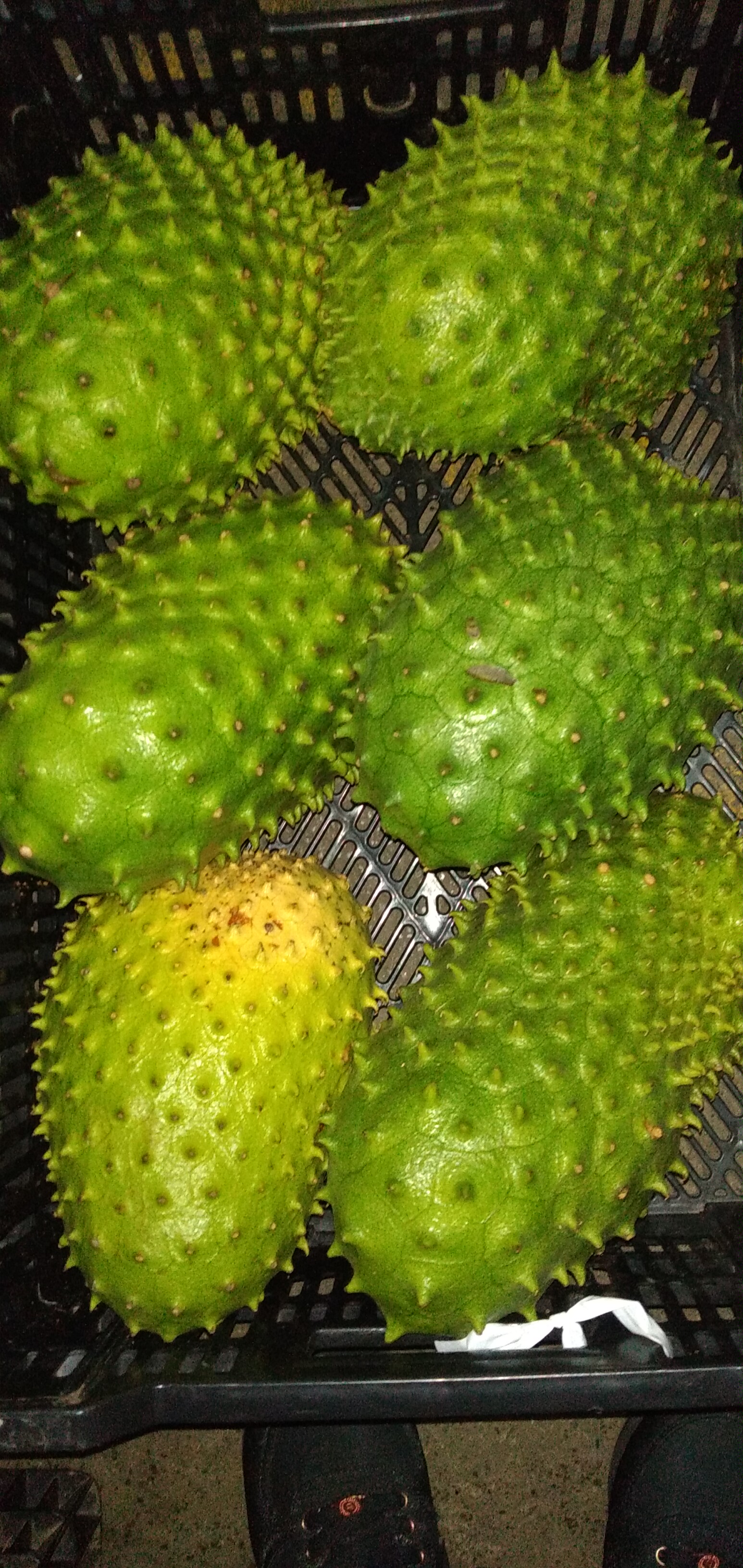 Guanabana