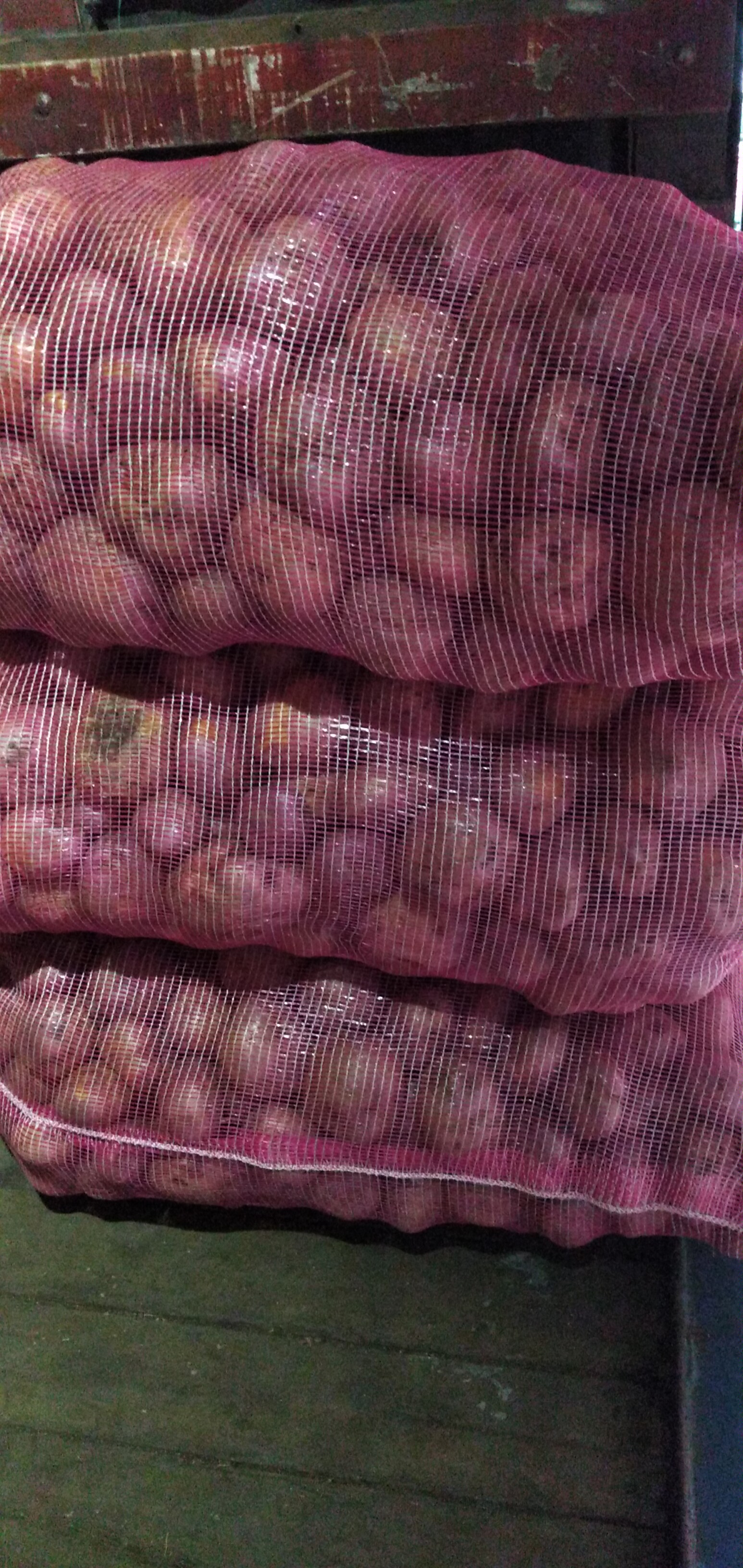 Papa capira variedad