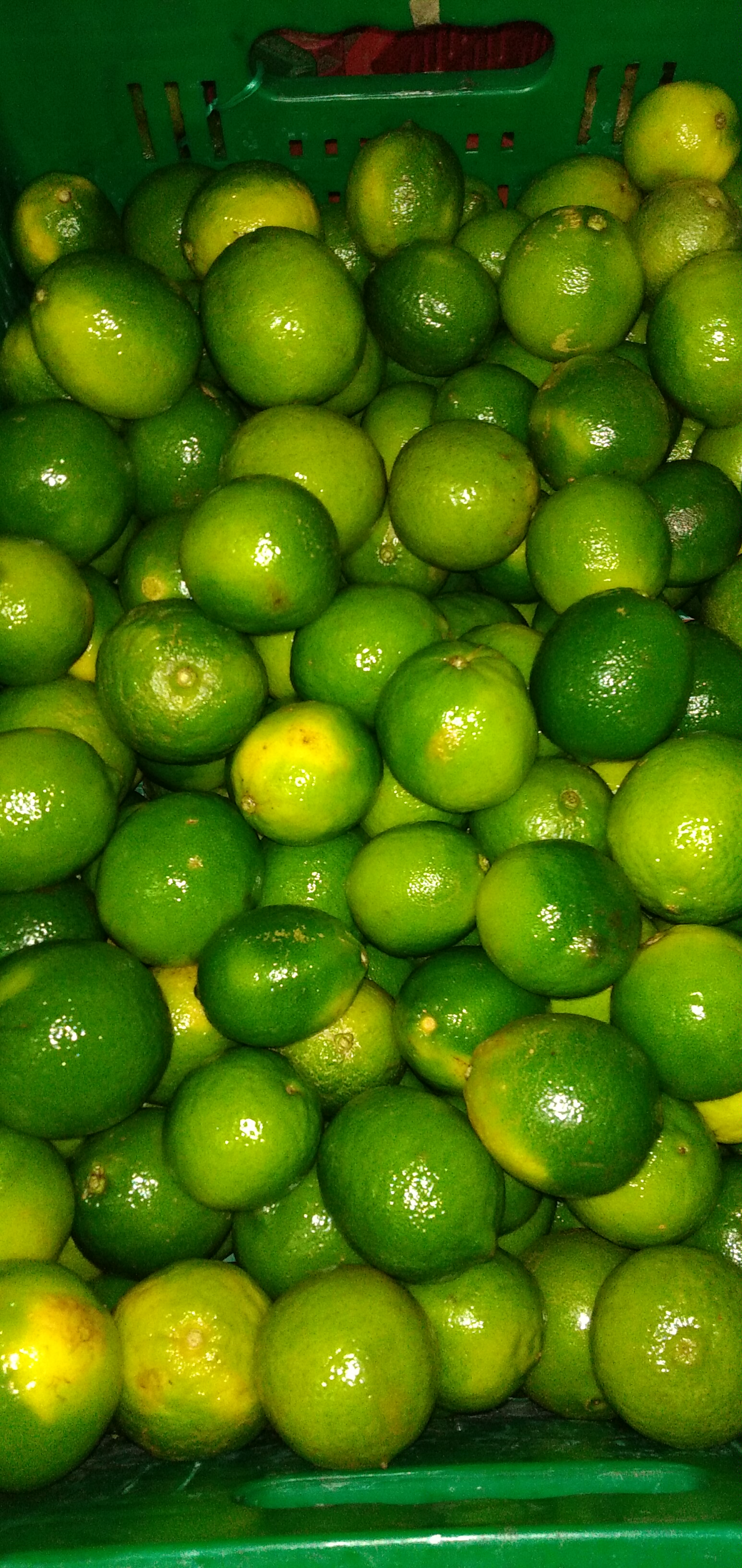 Limón Tahití
