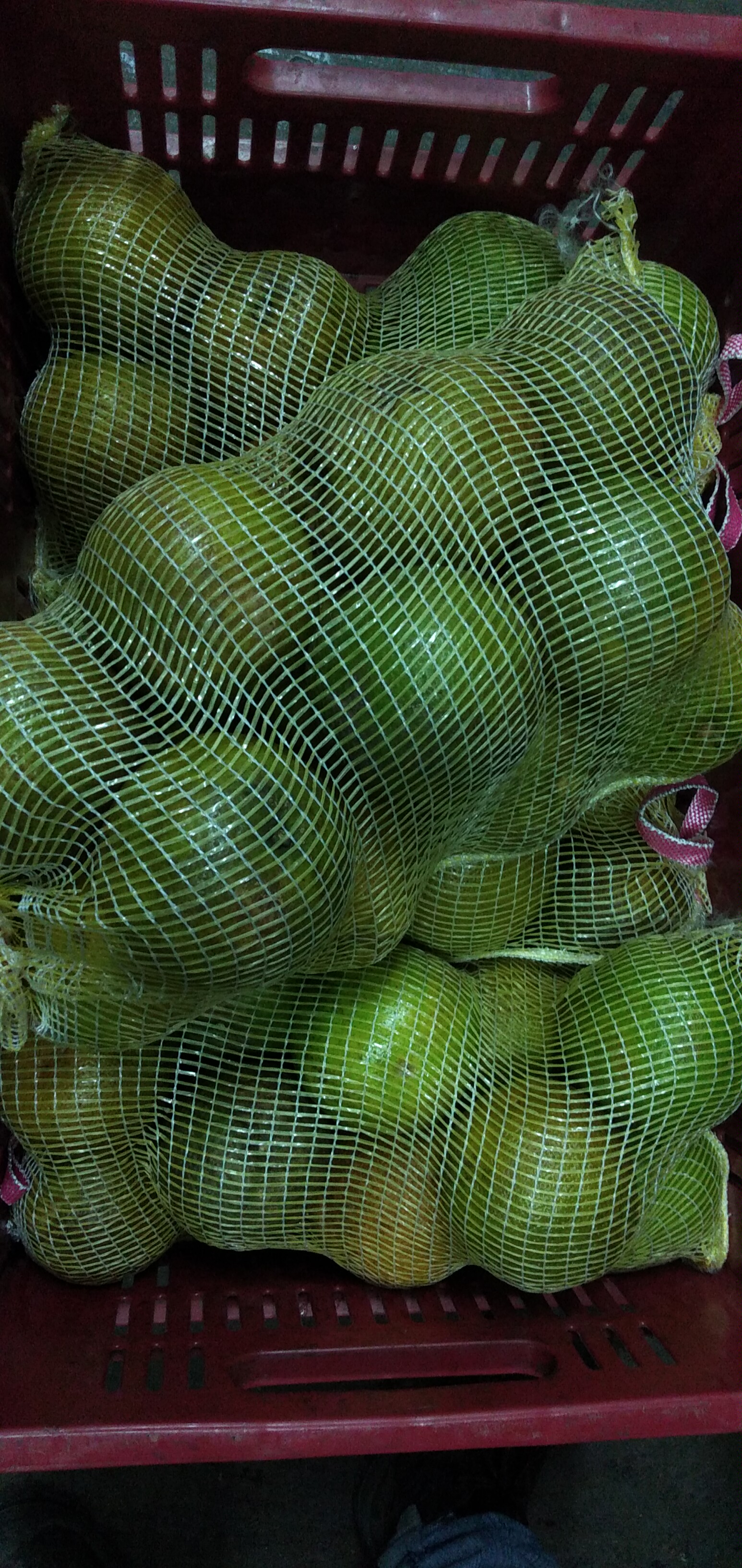 Naranja valencia primera Tula x 5 kg