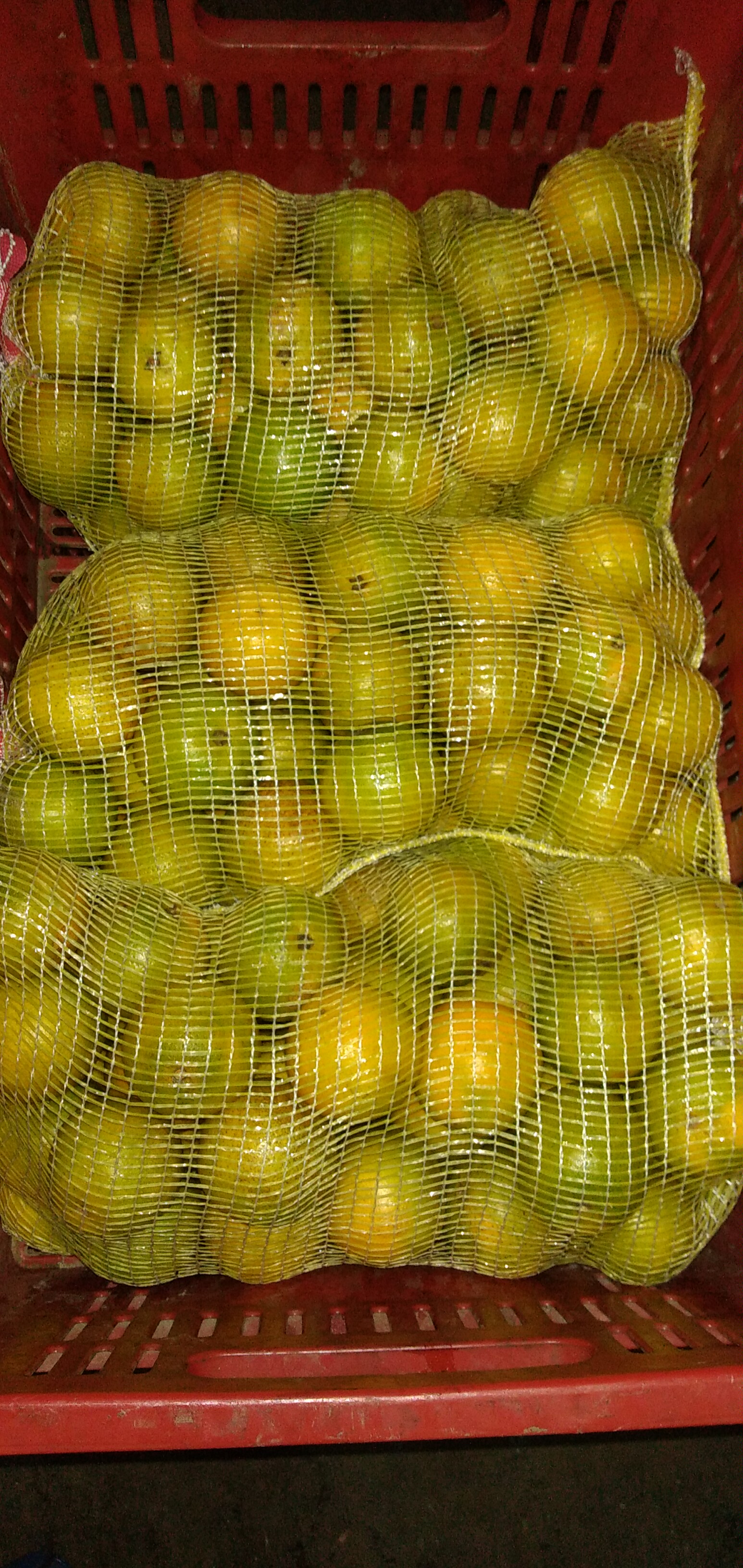 Naranja valencia tercera Tula x 5 kg