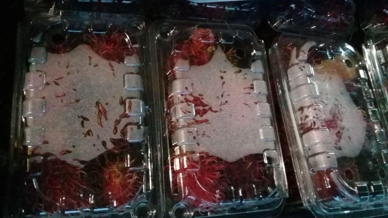 Rambutan
