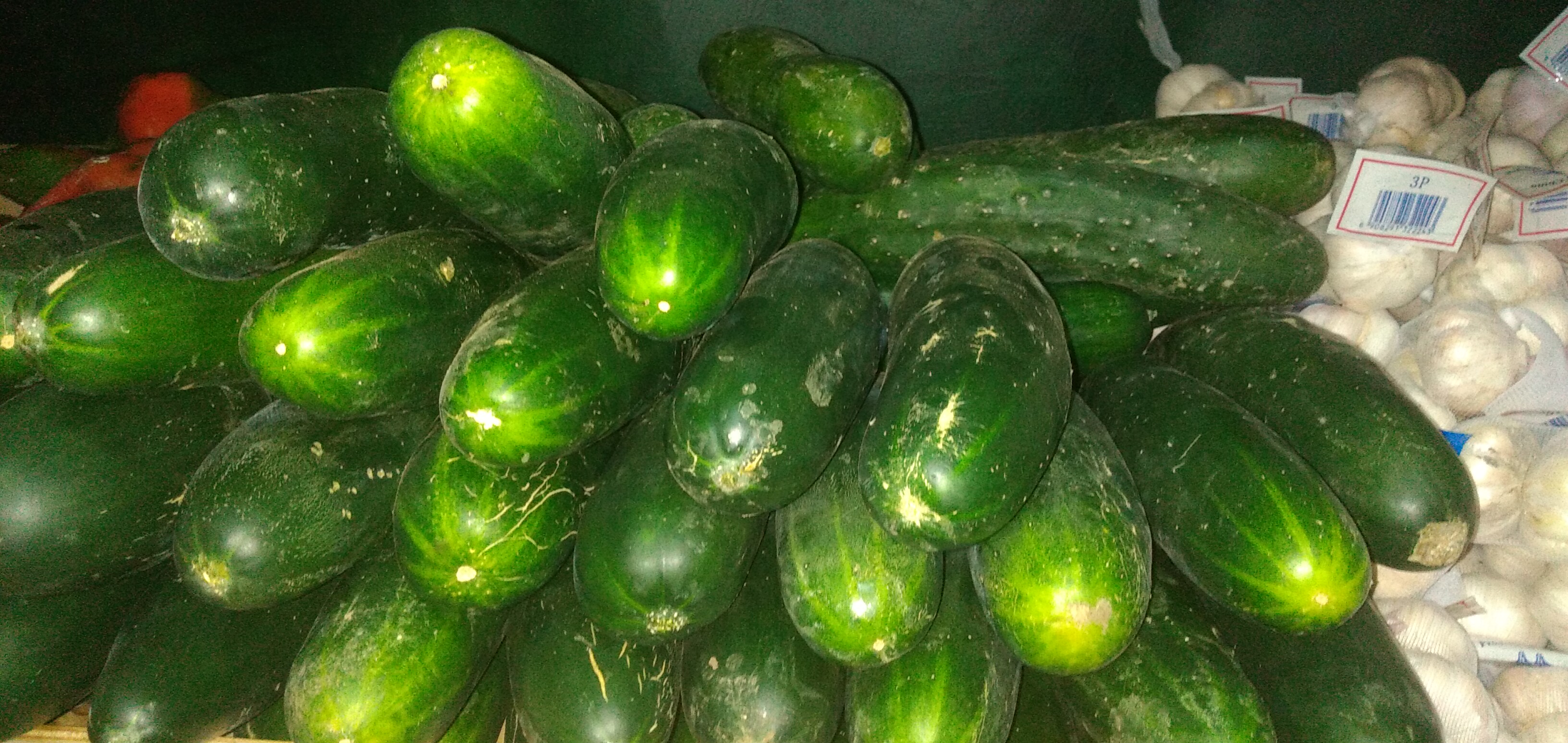 Pepino cohombro