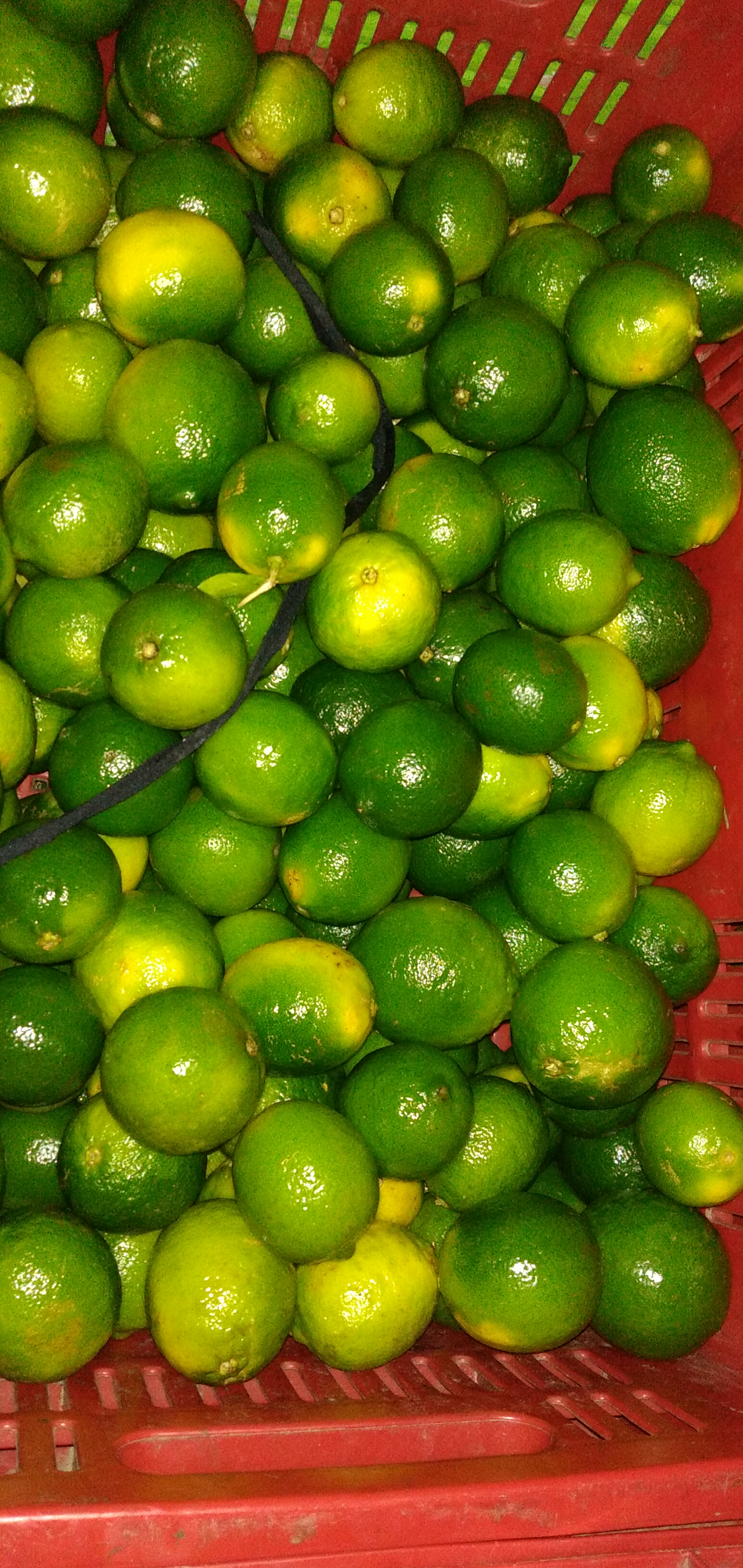 Limón Tahití