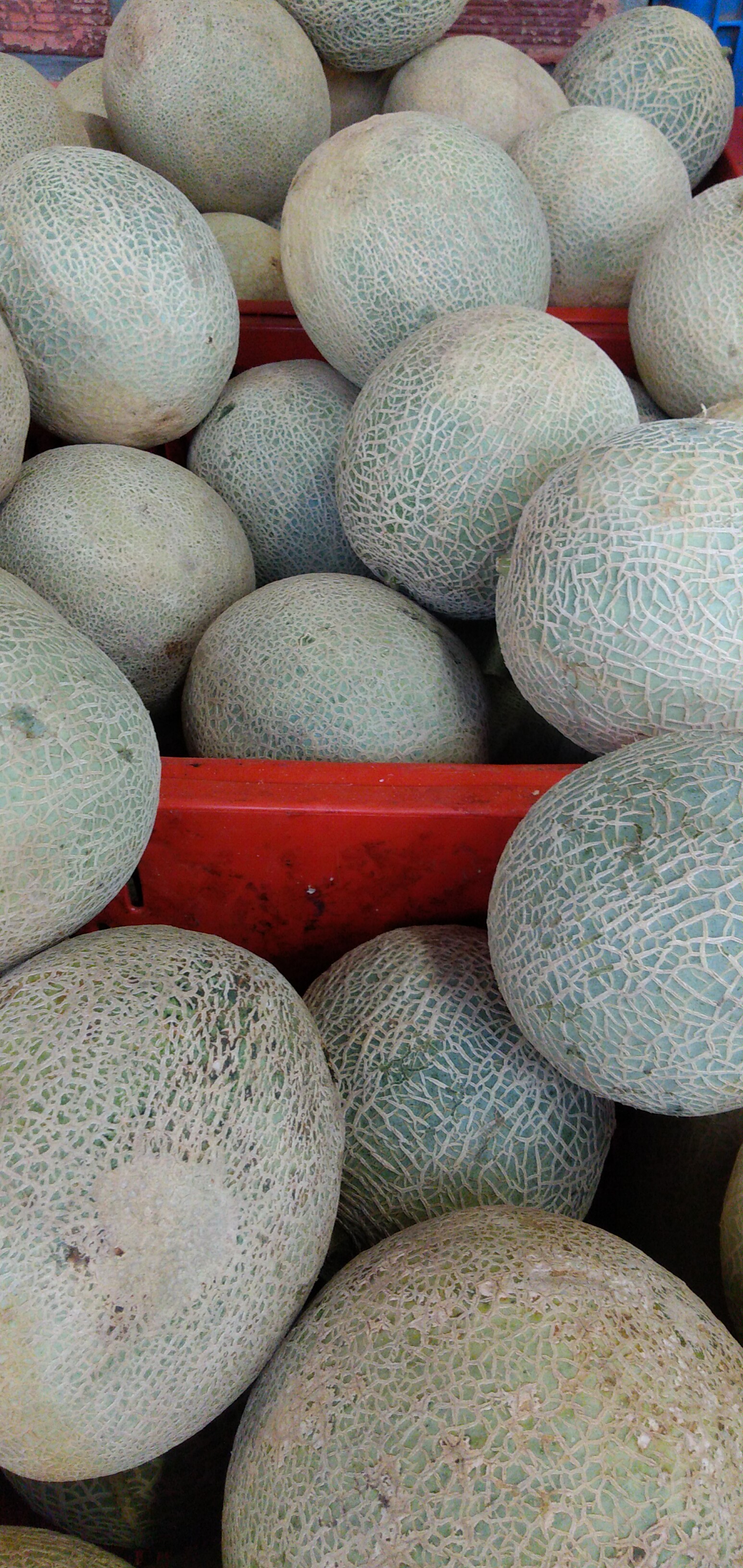 Melón