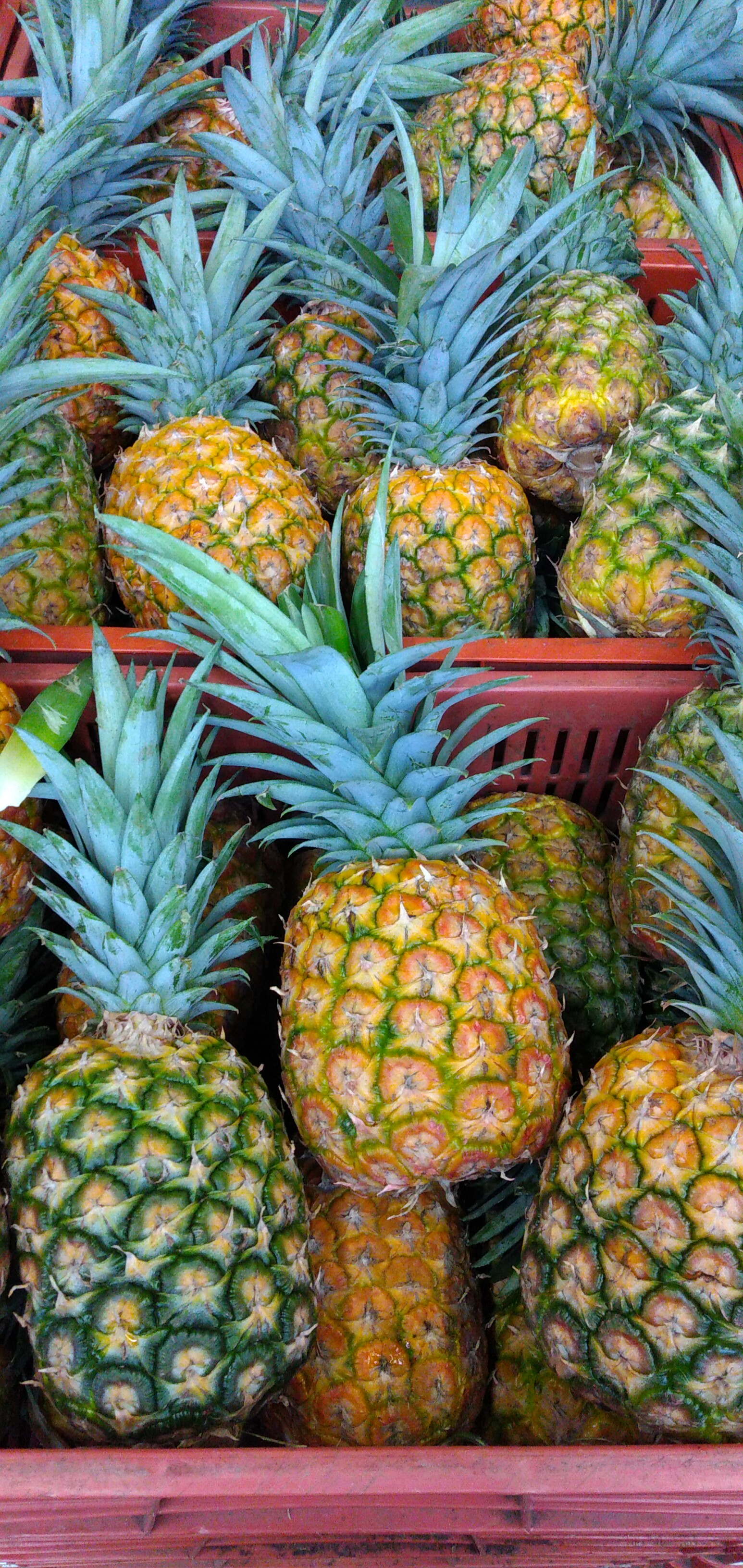 Piña oromiel