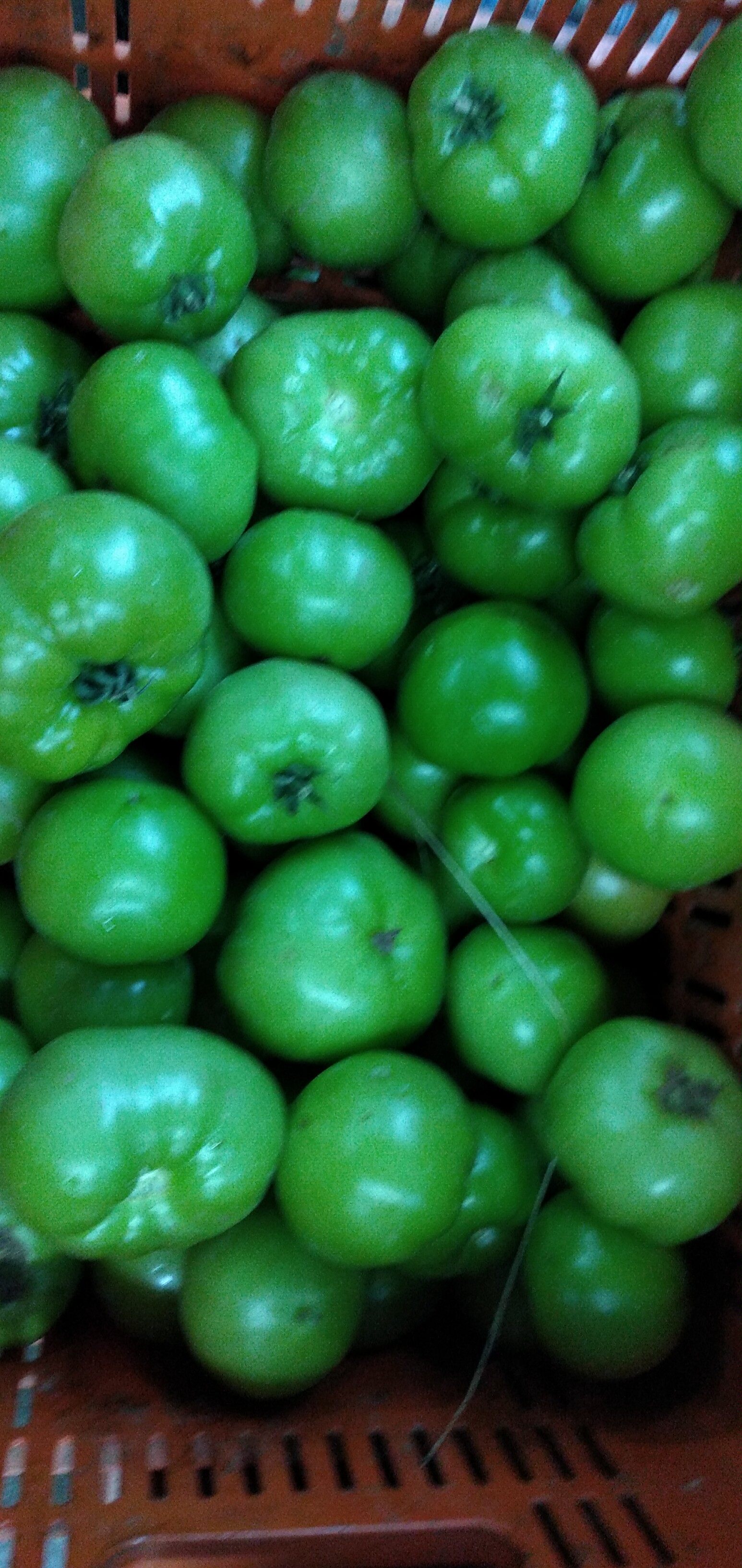 Tomate verde para ensalada