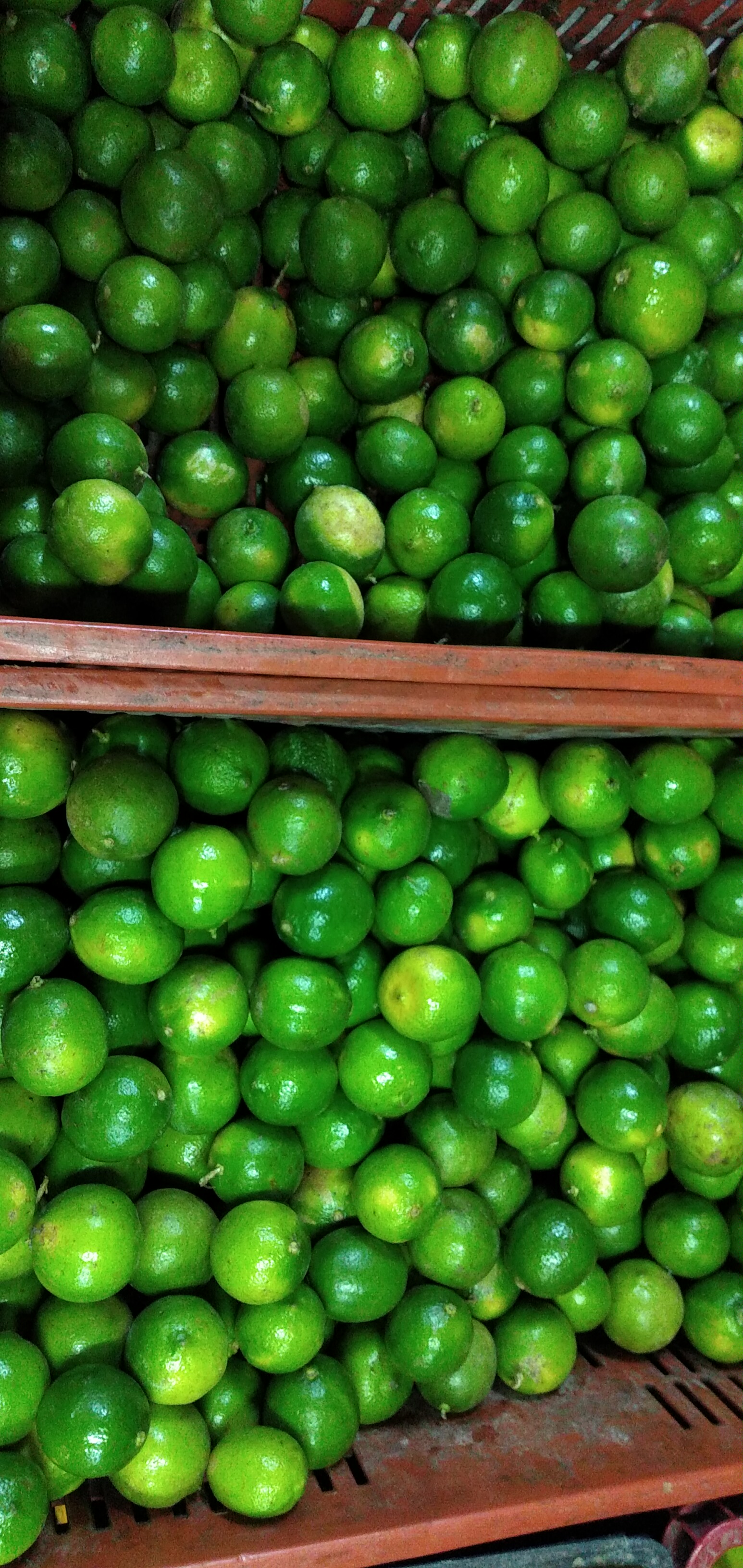 Limón Tahití