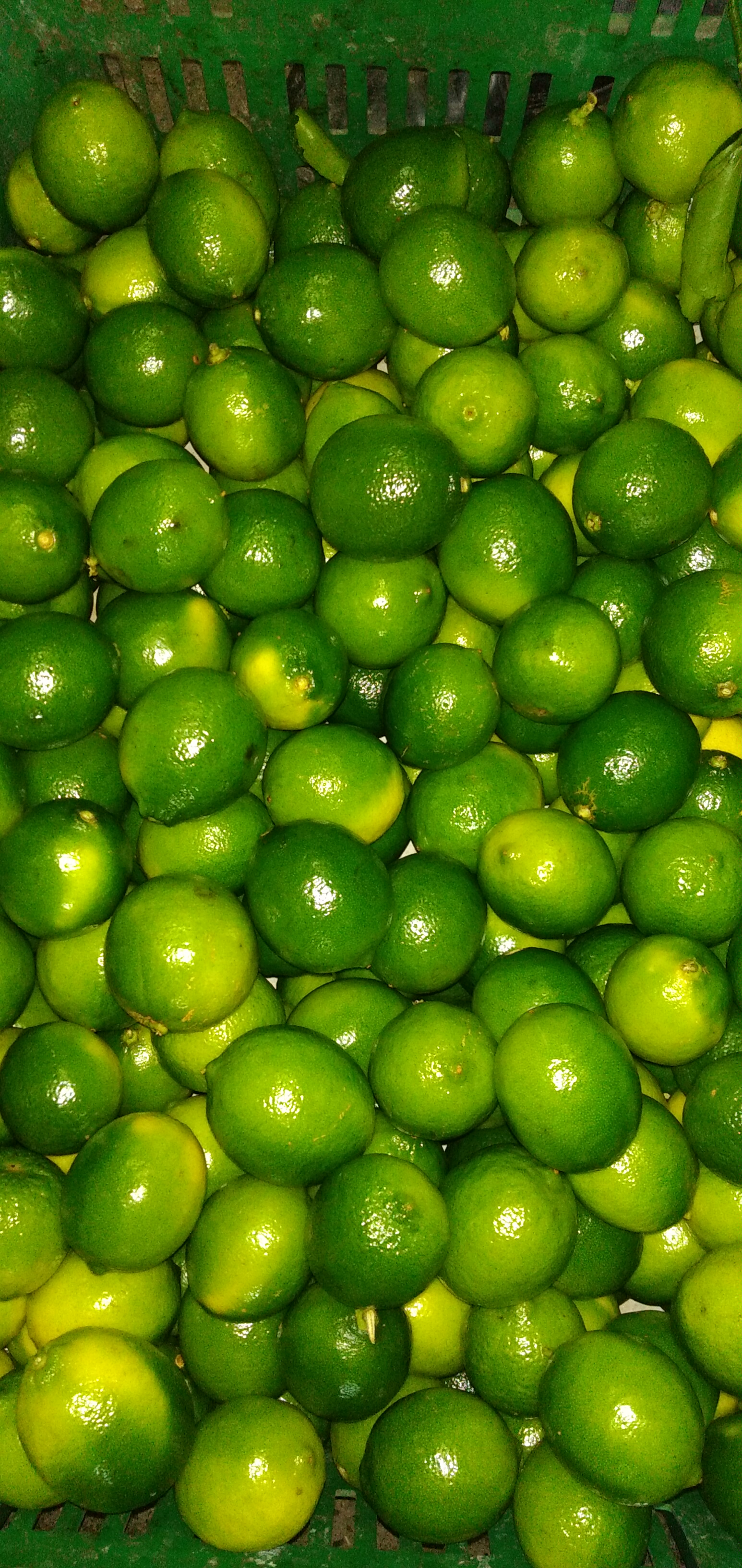 Limón Tahití