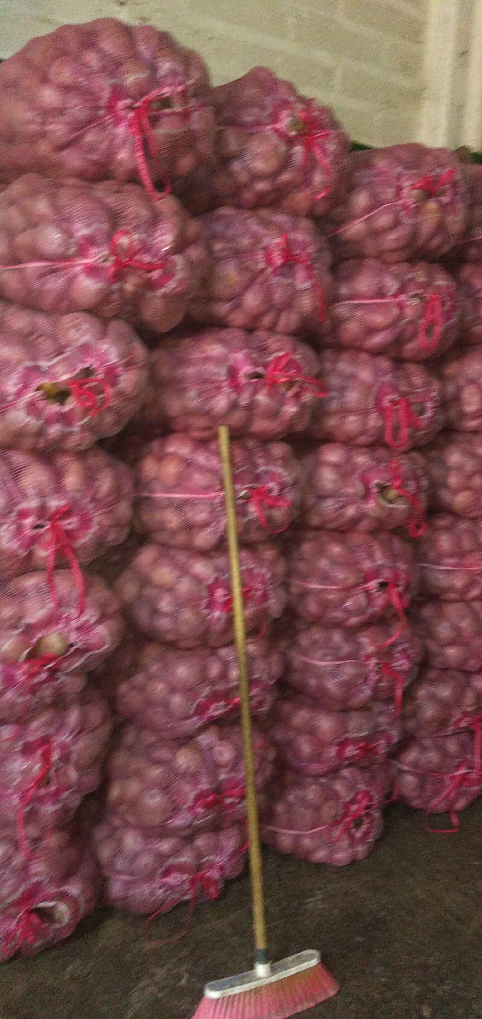 Papá capira carmeña bulto x 50 kg
