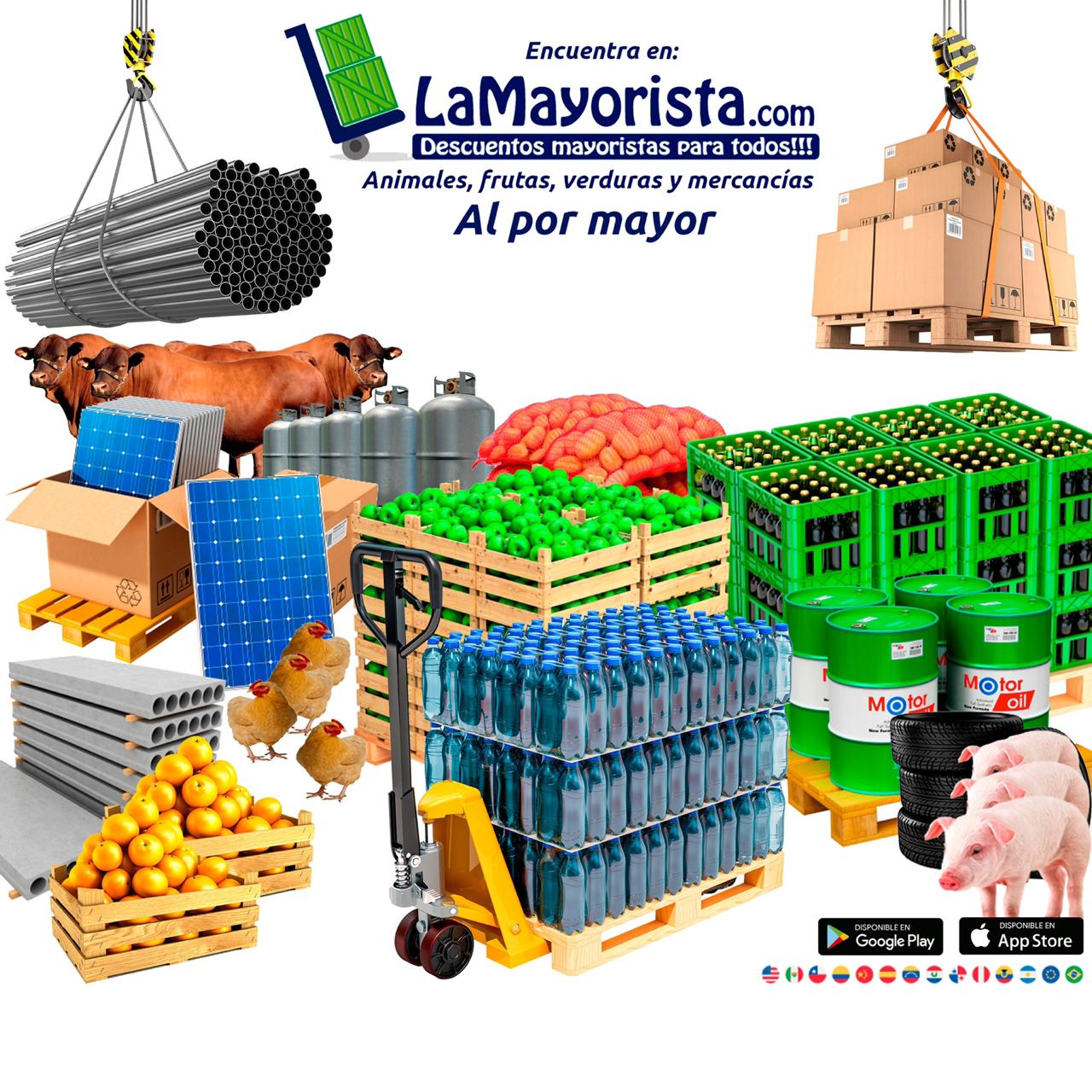 prueba