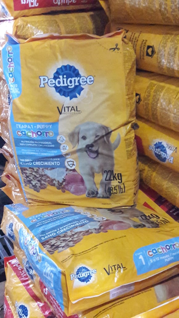 Pedigree Cachorros bulto× 22 kg / Concentrado para Caninos