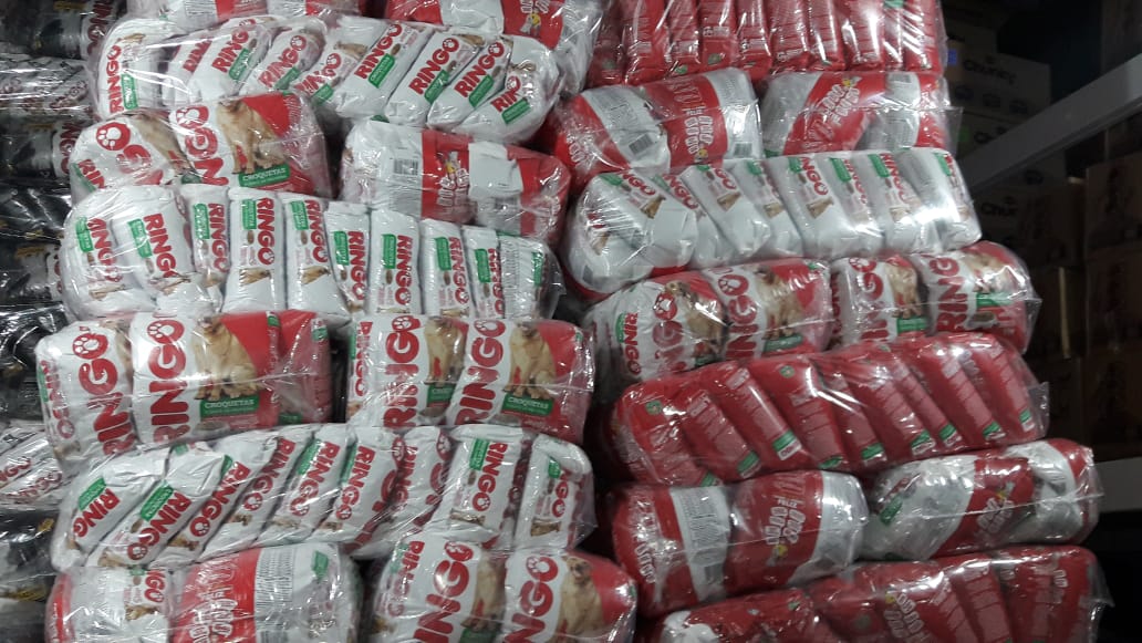 Ringo Adultos /concentrado caninos paca × 20 unidades