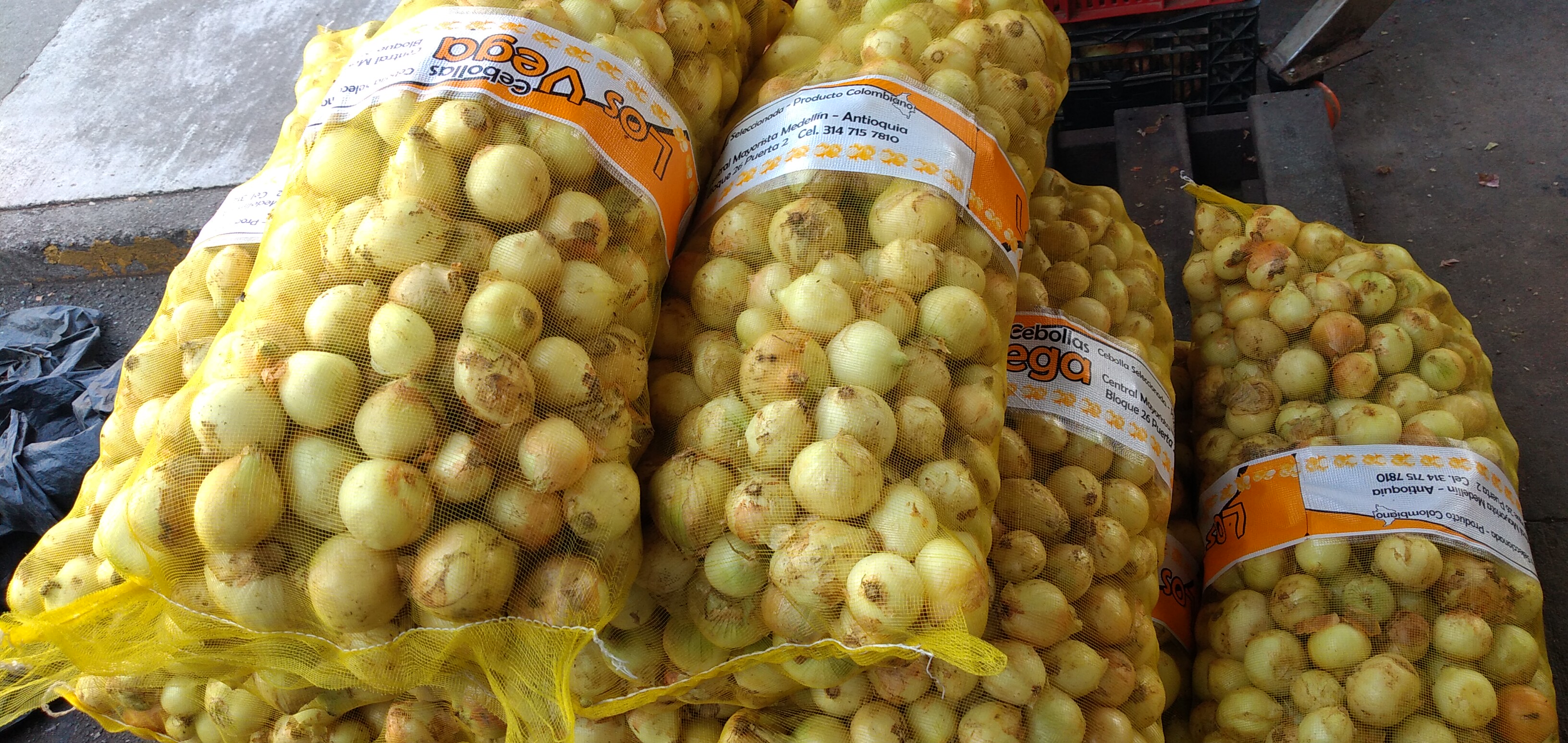 Cebolla los Vega Tula x 22 kg