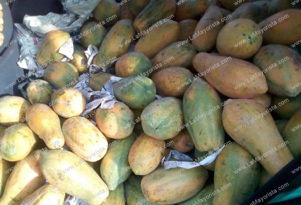 Papaya maradol cubana
