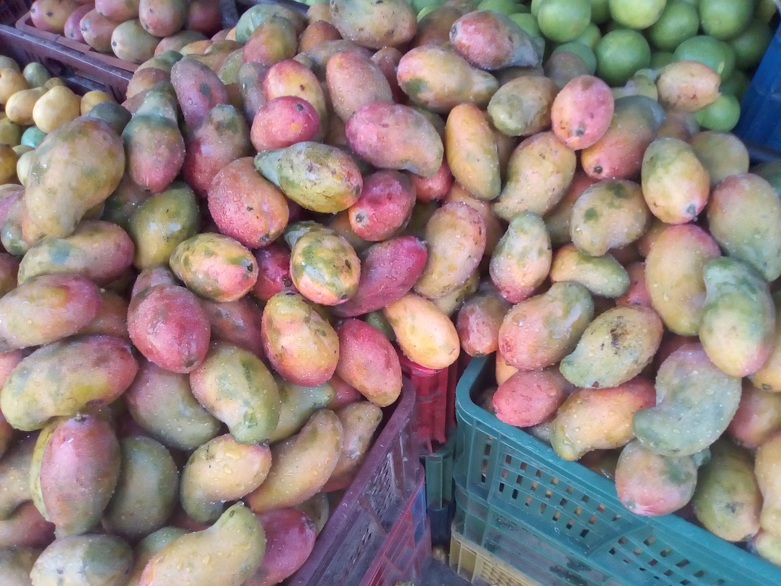 Mango de chupa