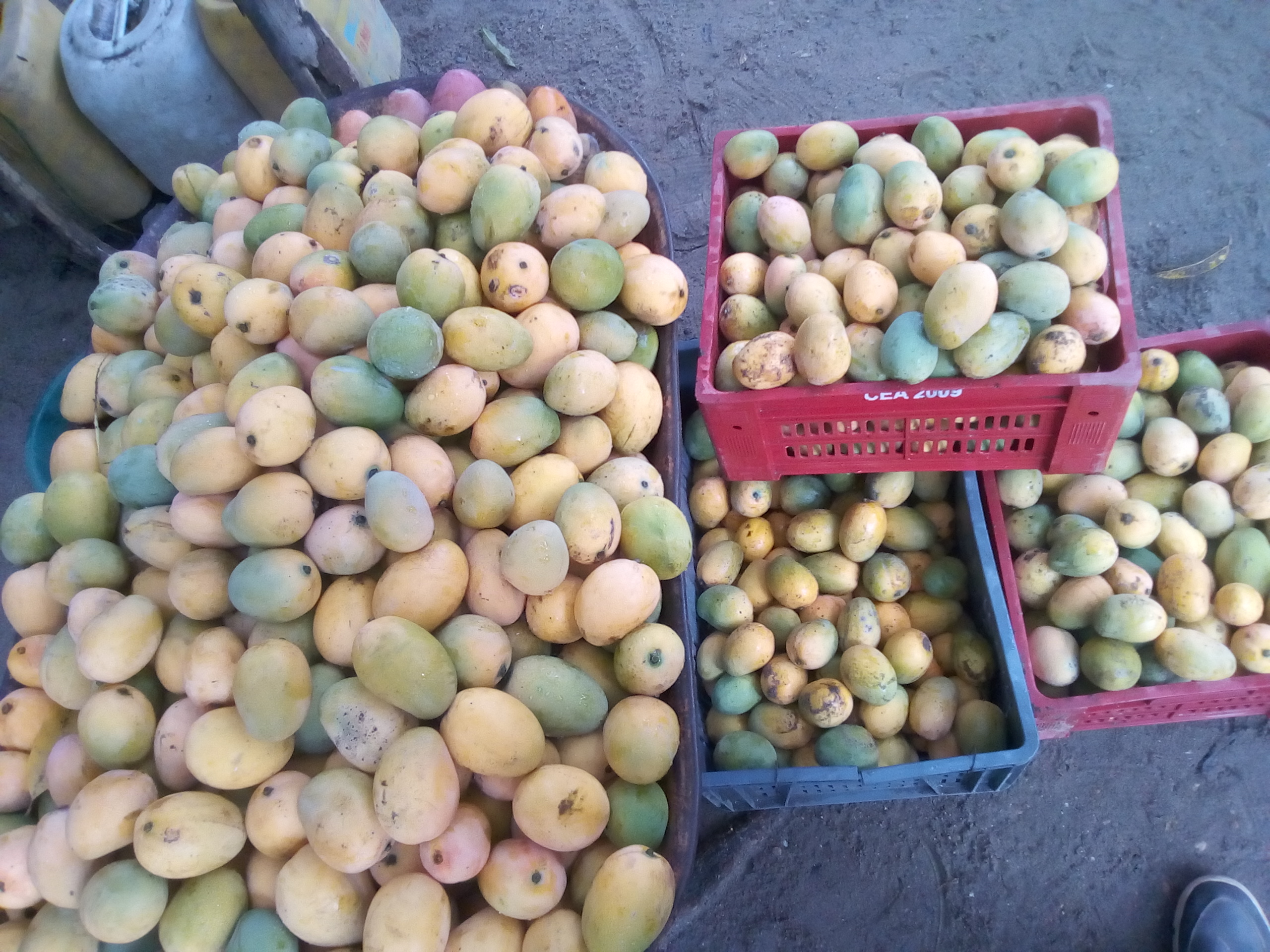 Mango de hilaza x canasta