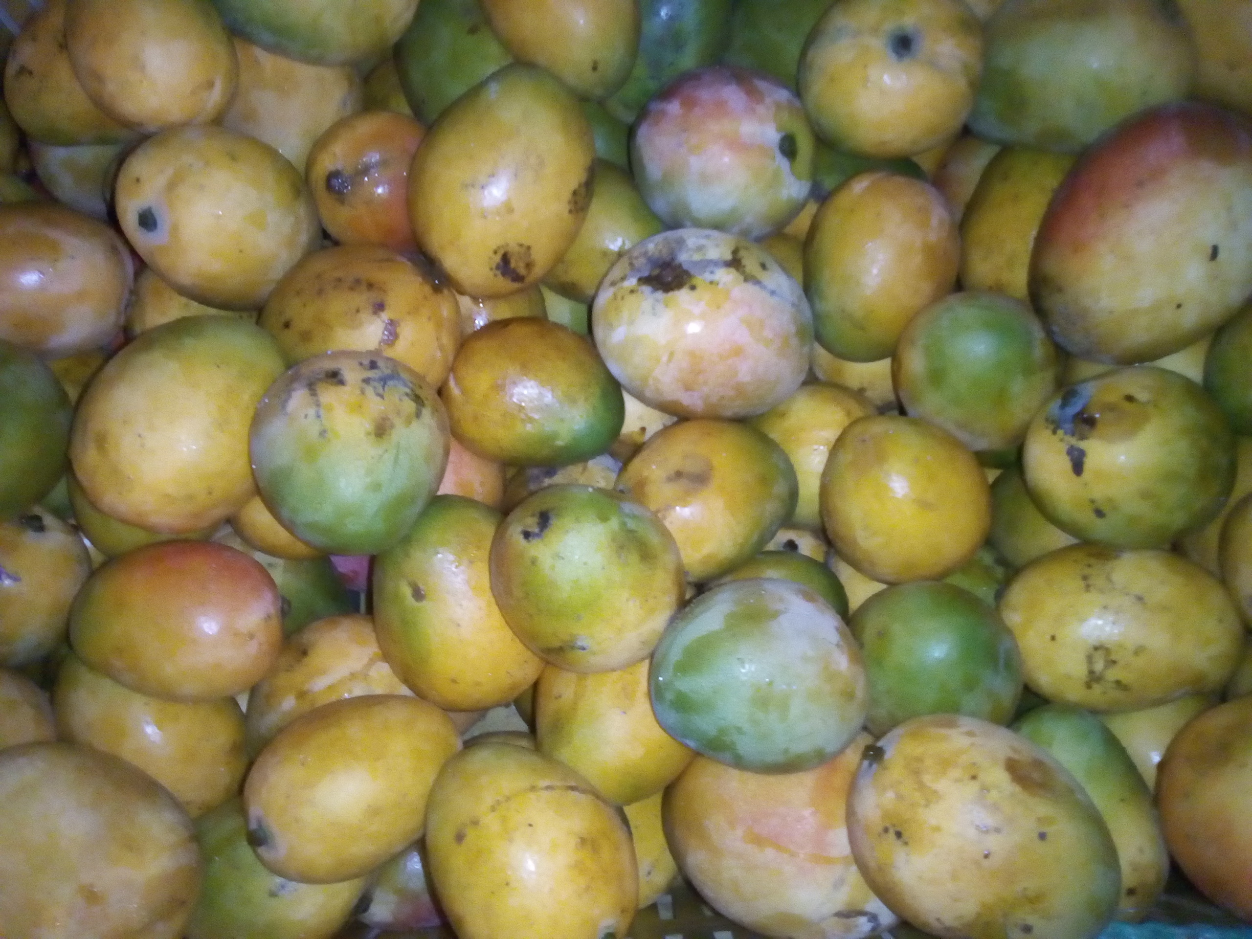 Mango de hilaza