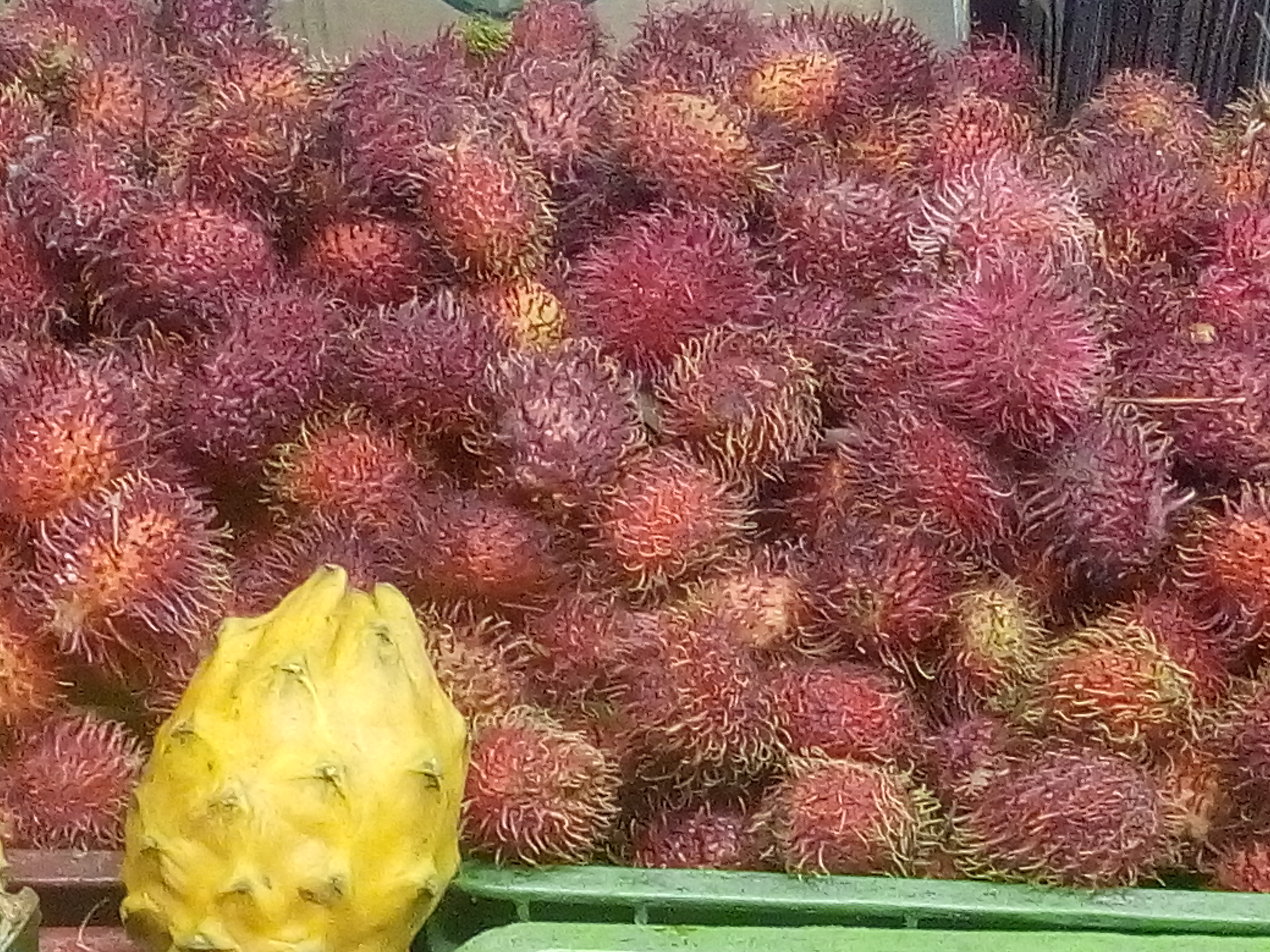 Rambutan