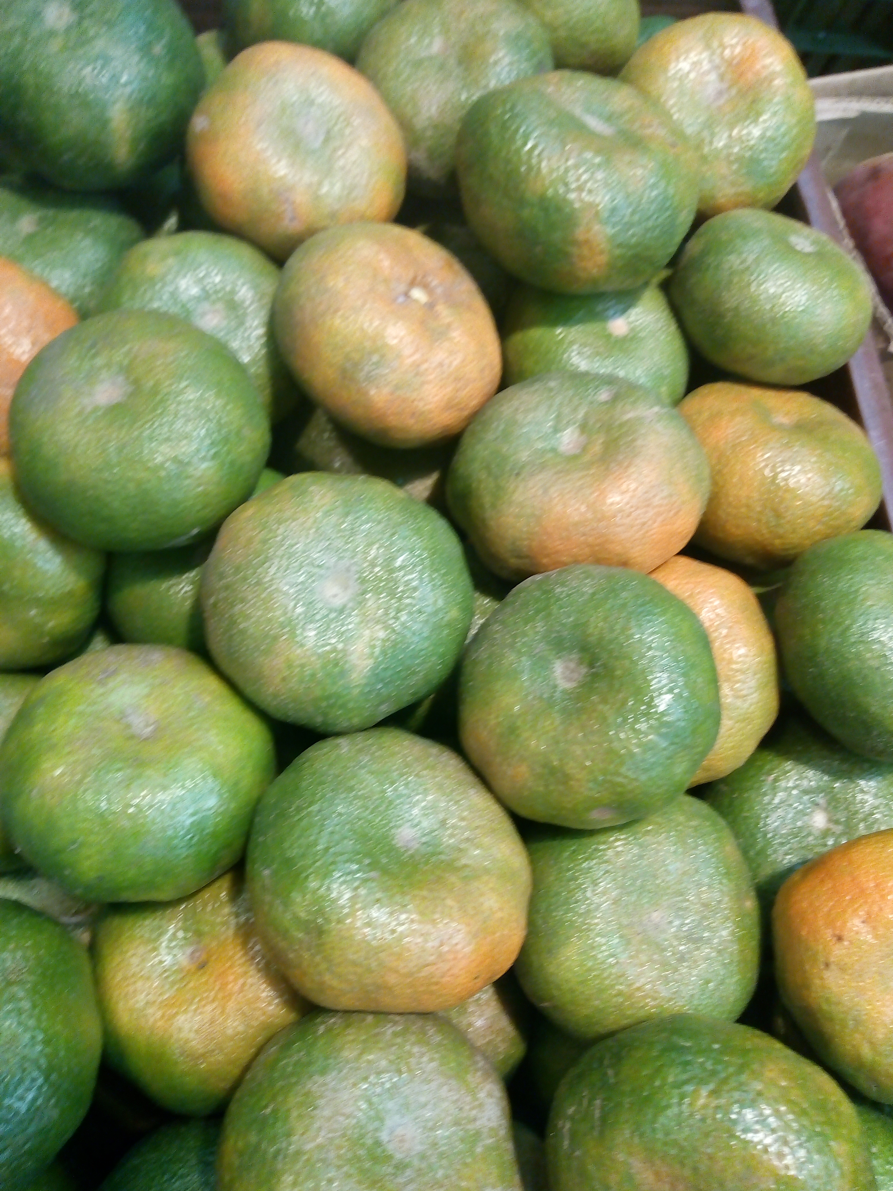 Mandarina