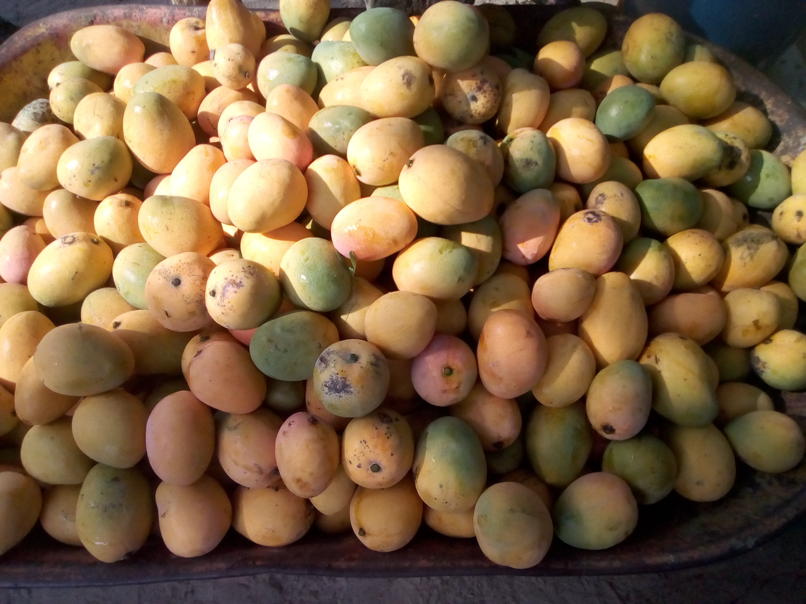 Mango de hilaza