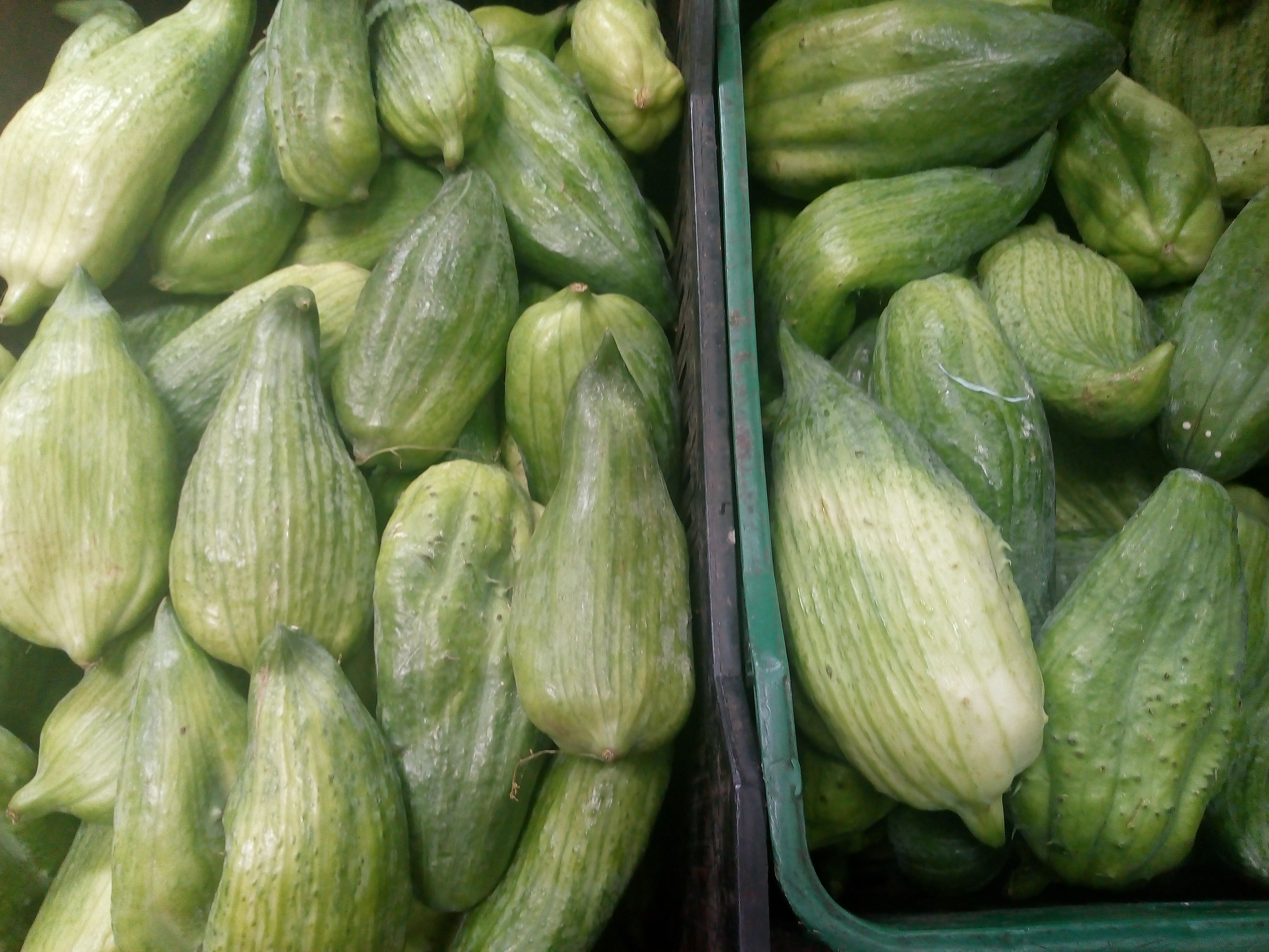 Pepino de guiso