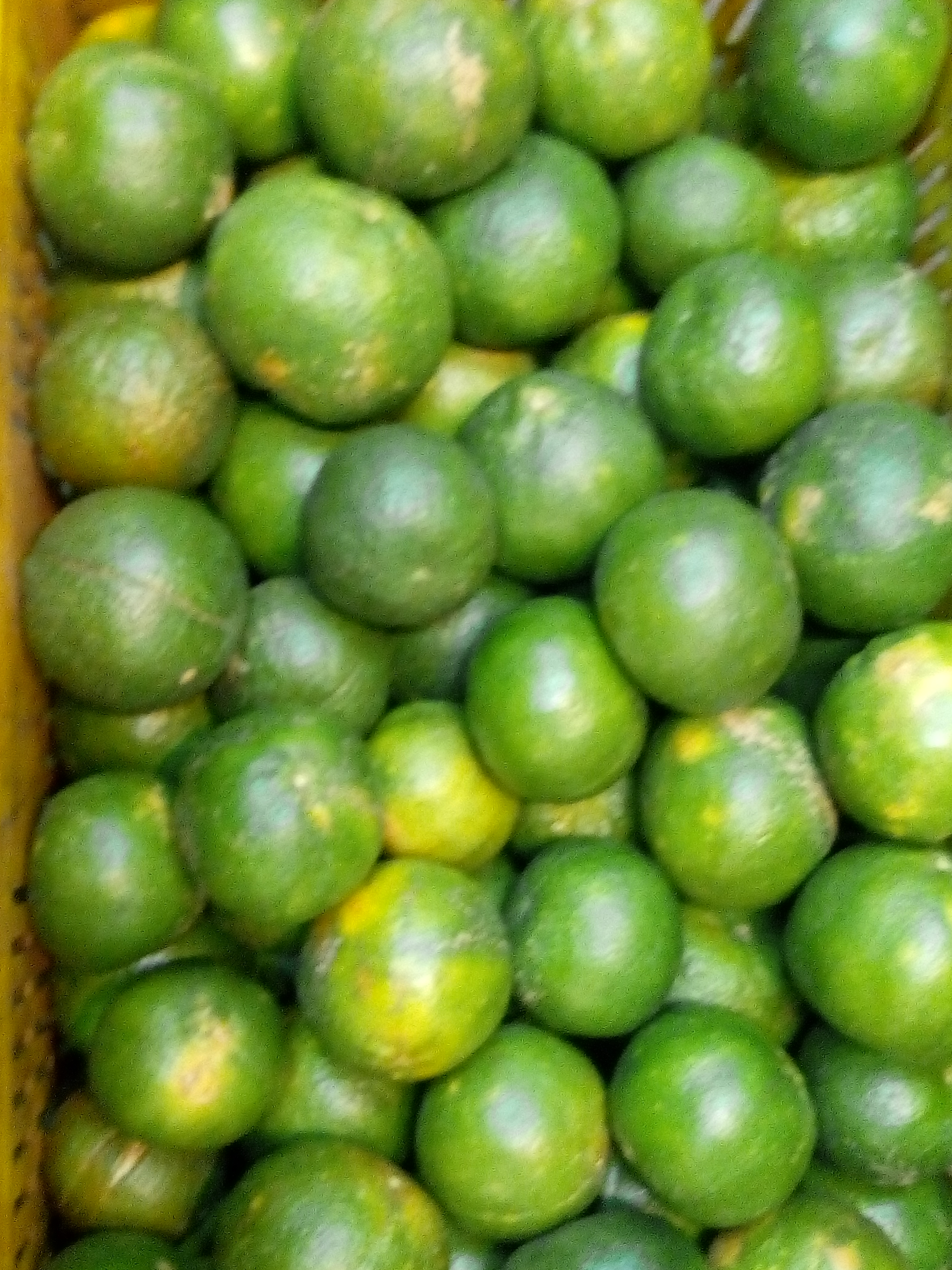 Mandarina oneco