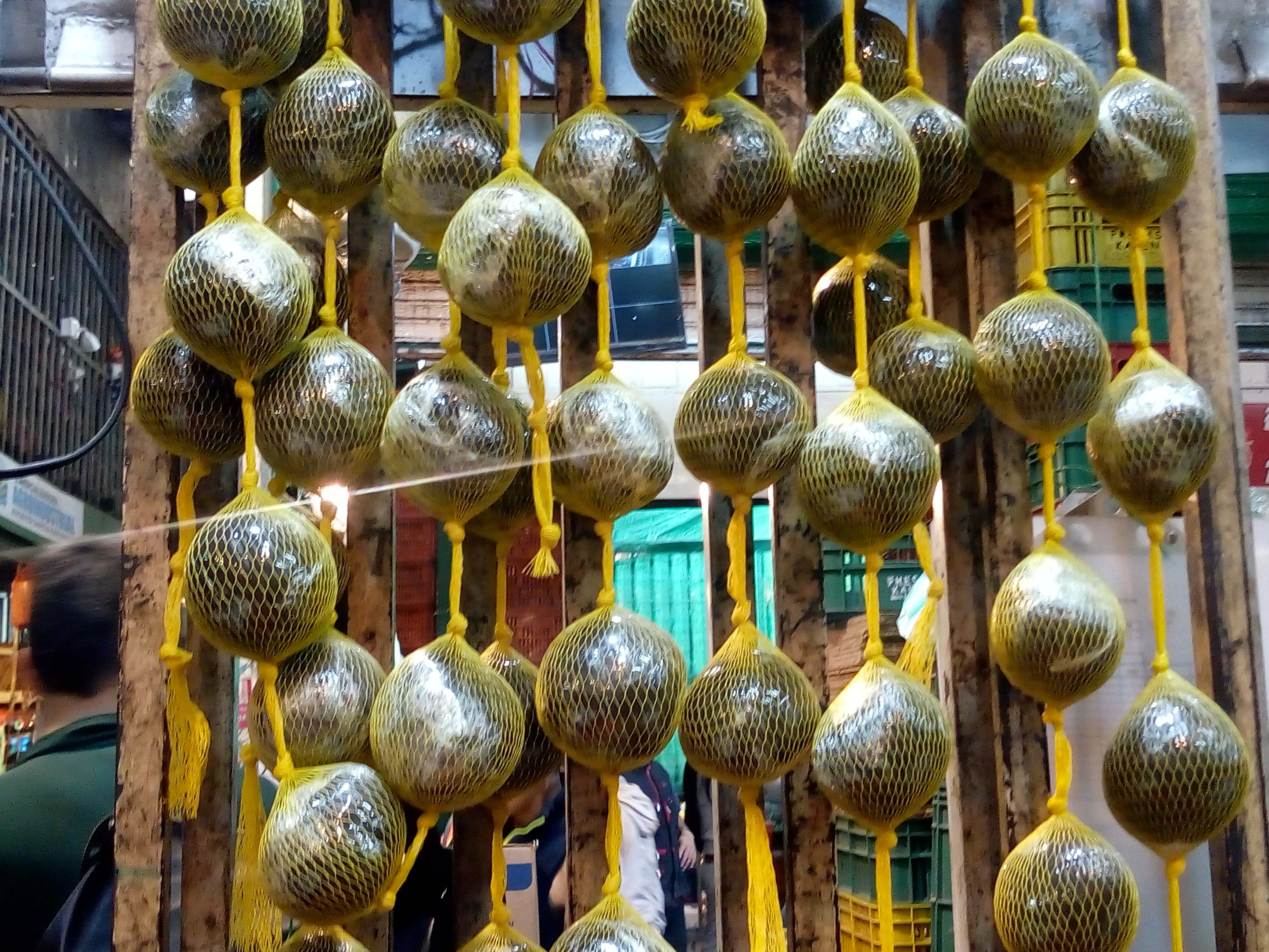 Borojo