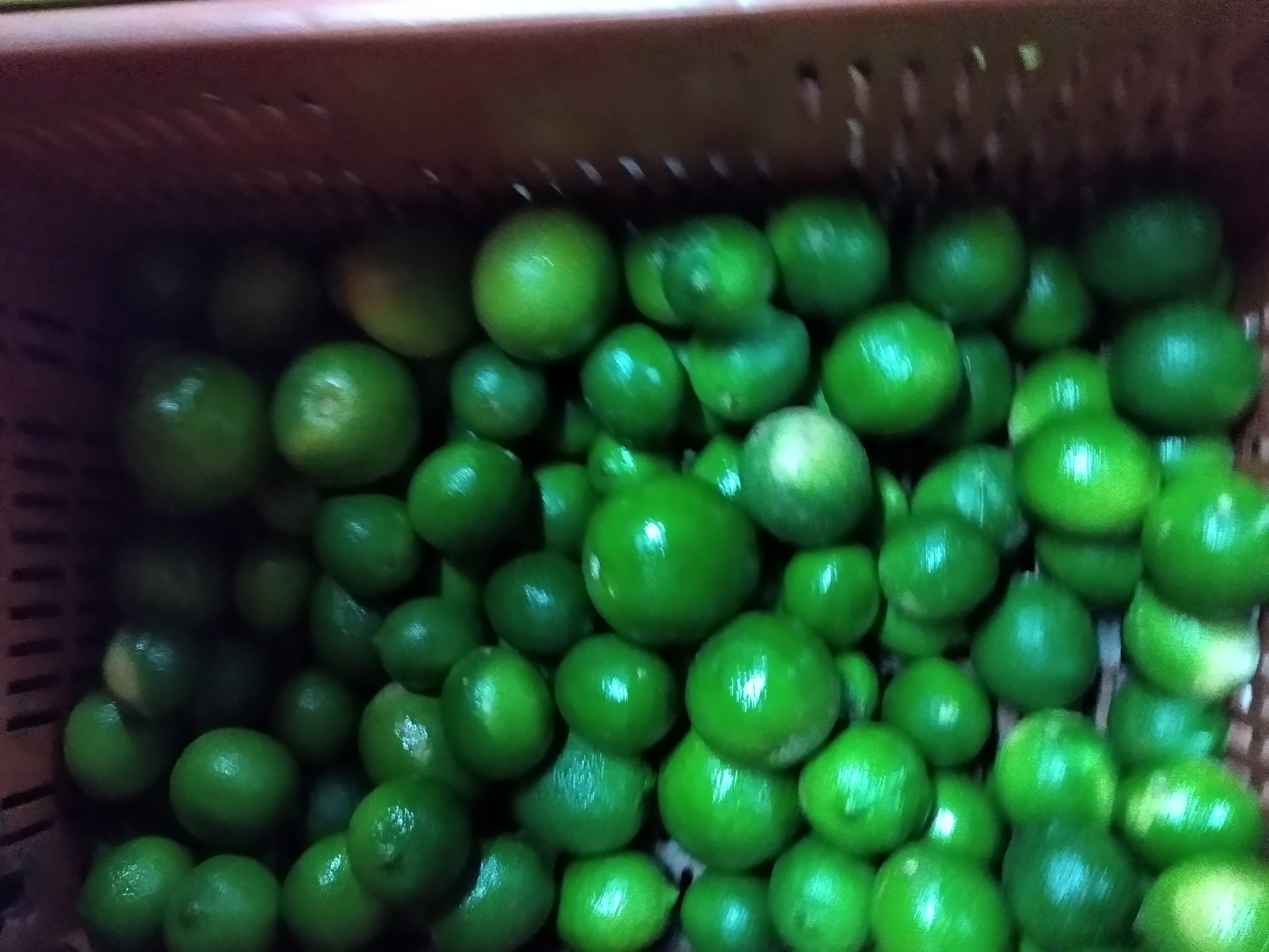 Limón Tahití