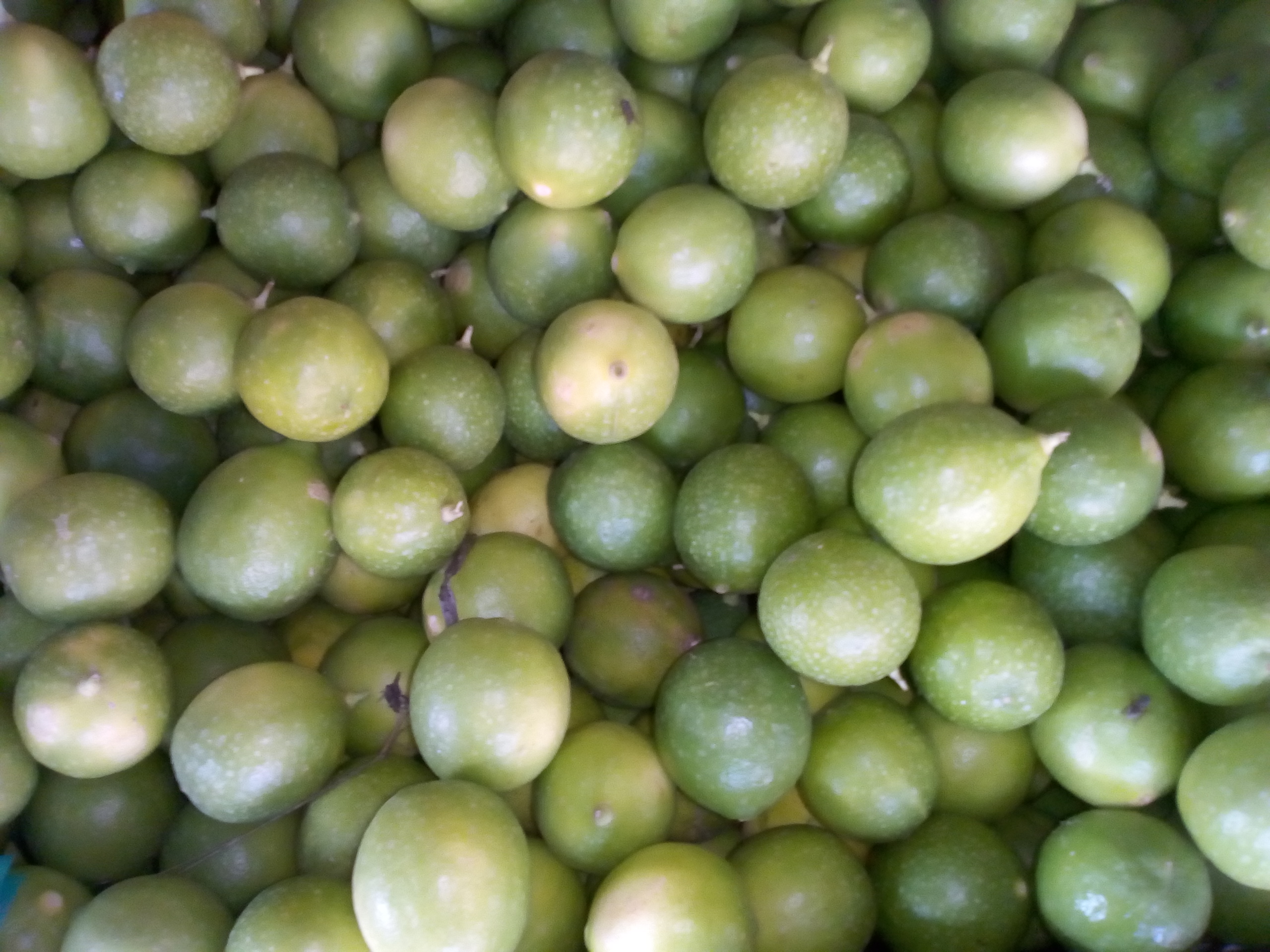 Limón