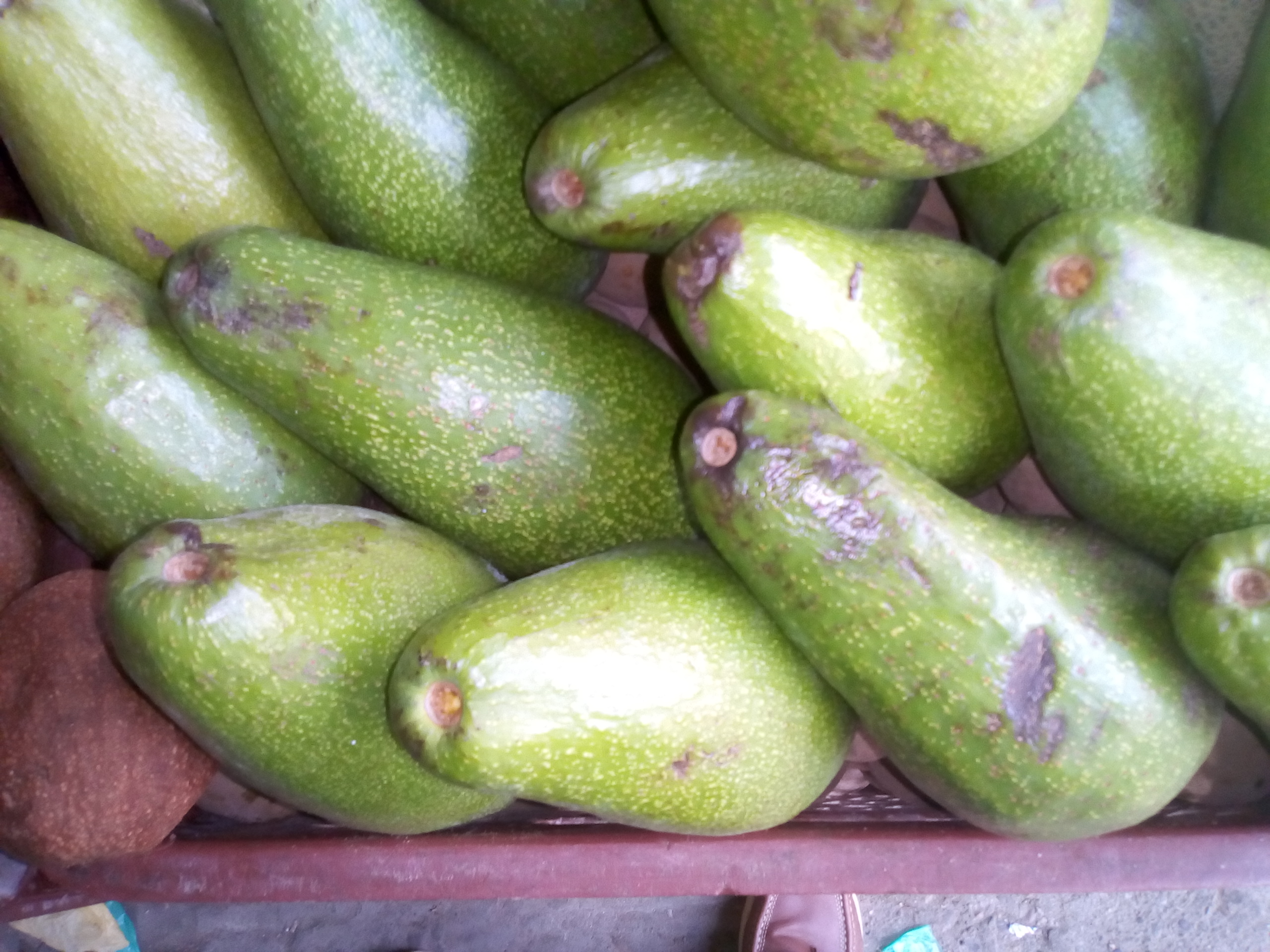 Aguacate