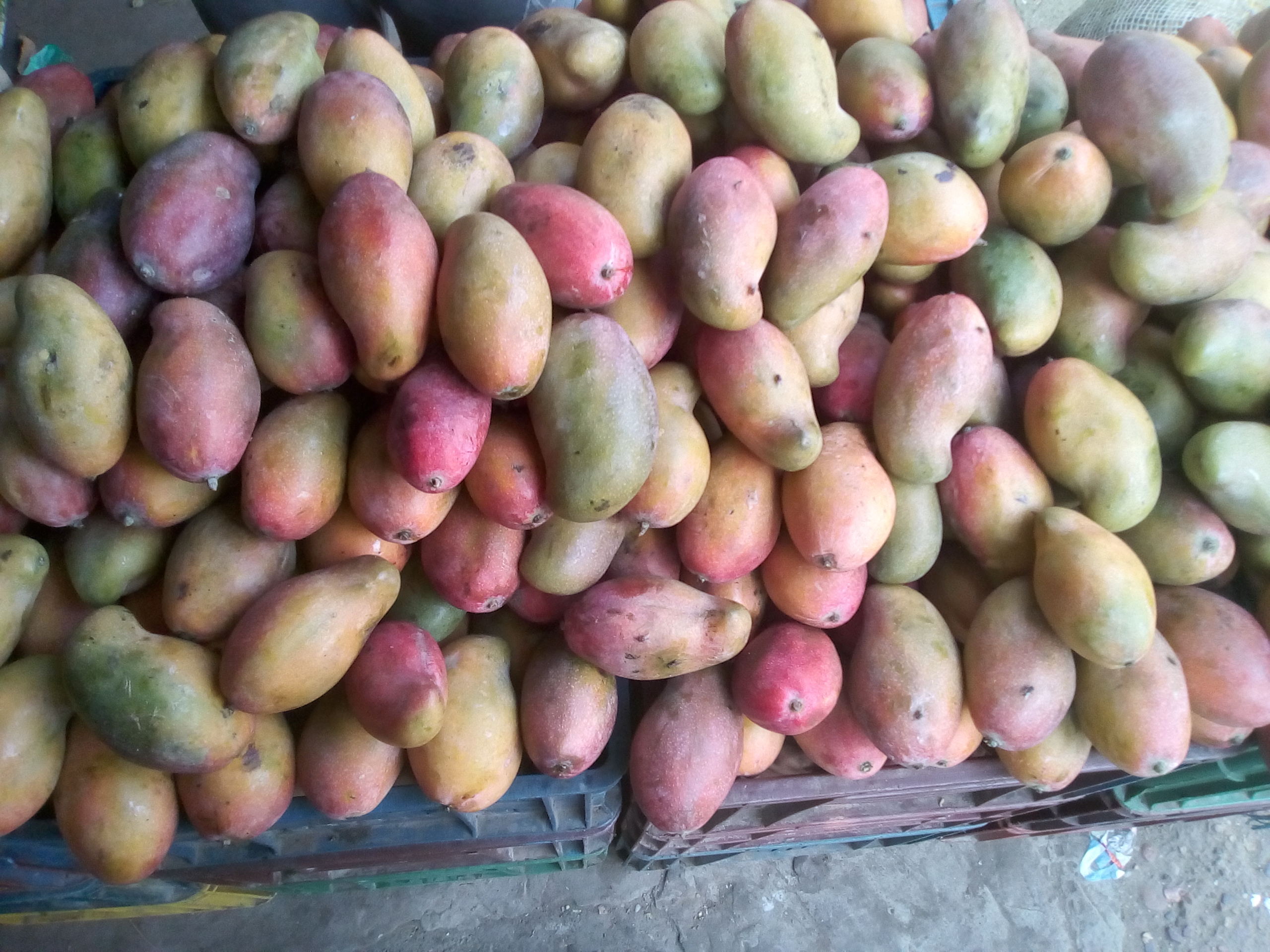 Mango de chupa