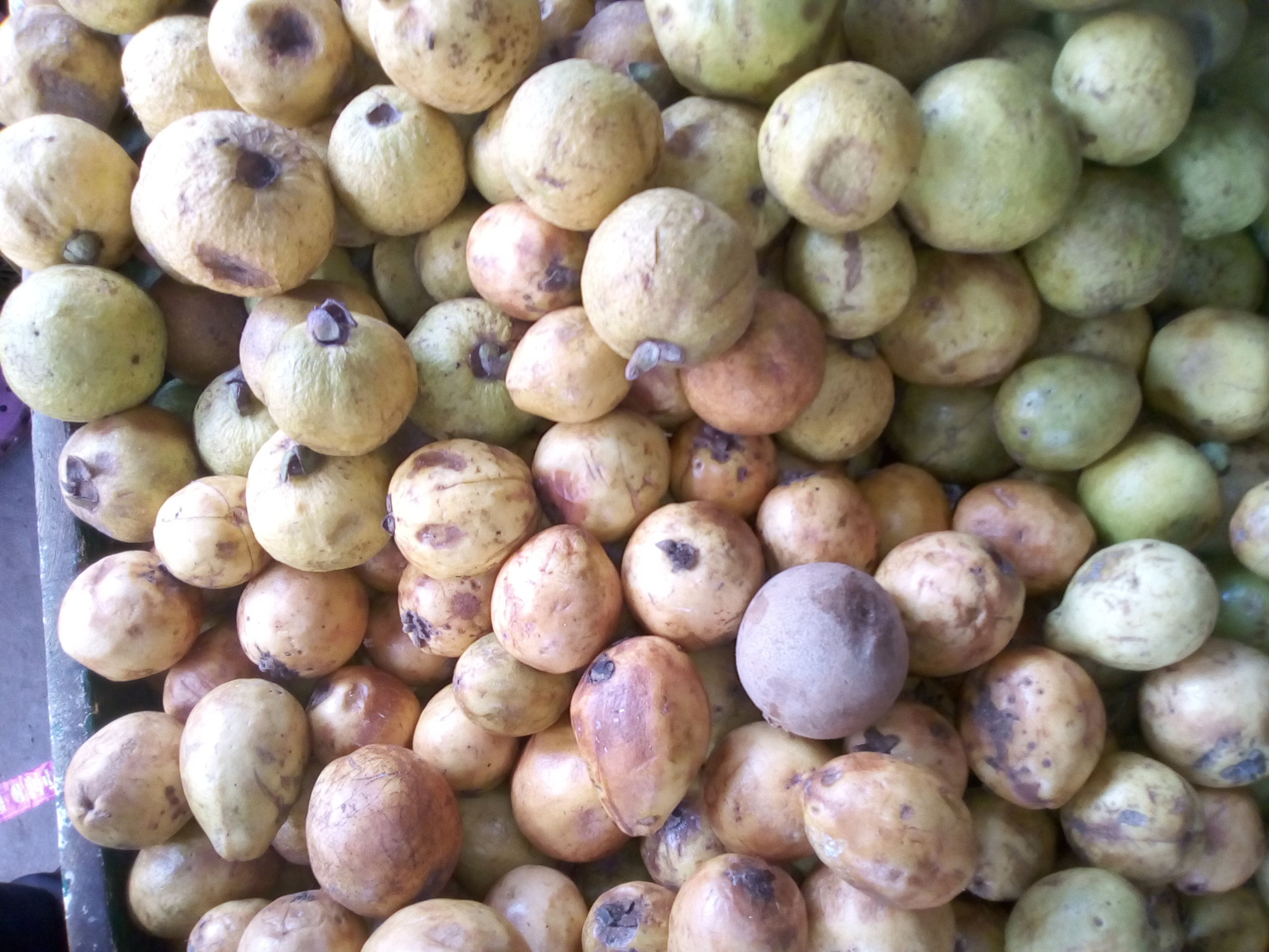 Guayaba agria