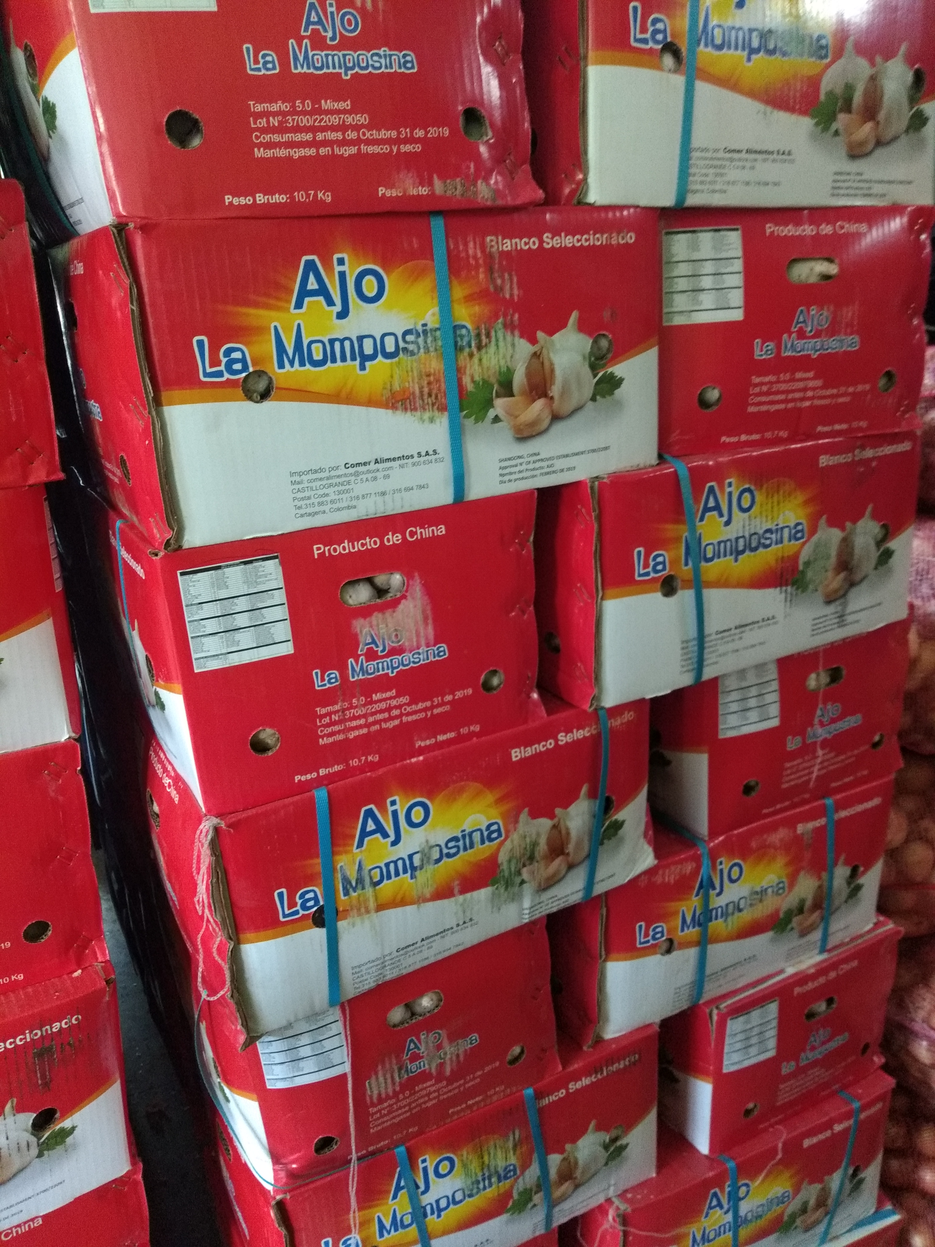 Ajo agranel caja X10 kg