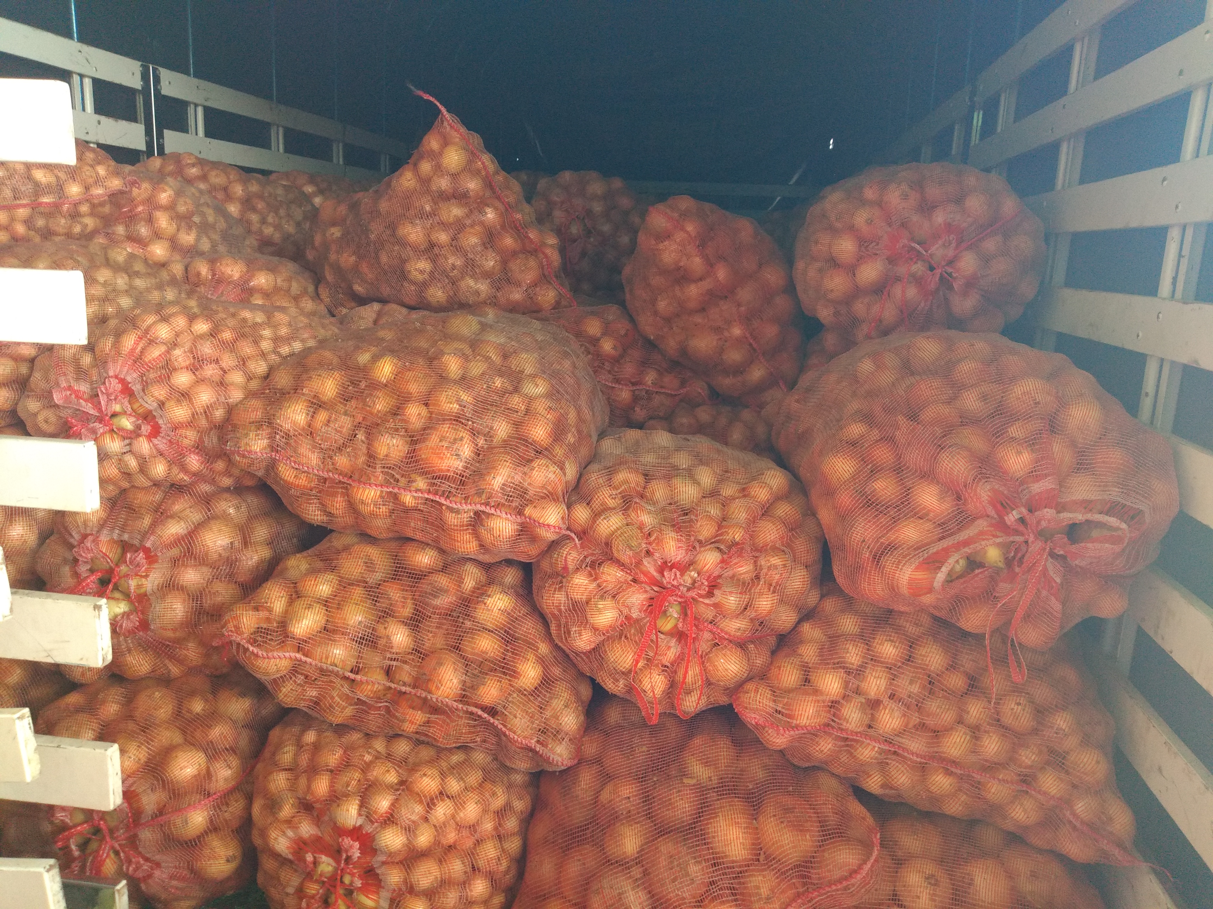 Cebolla de huevo blanca bulto x 48 kg