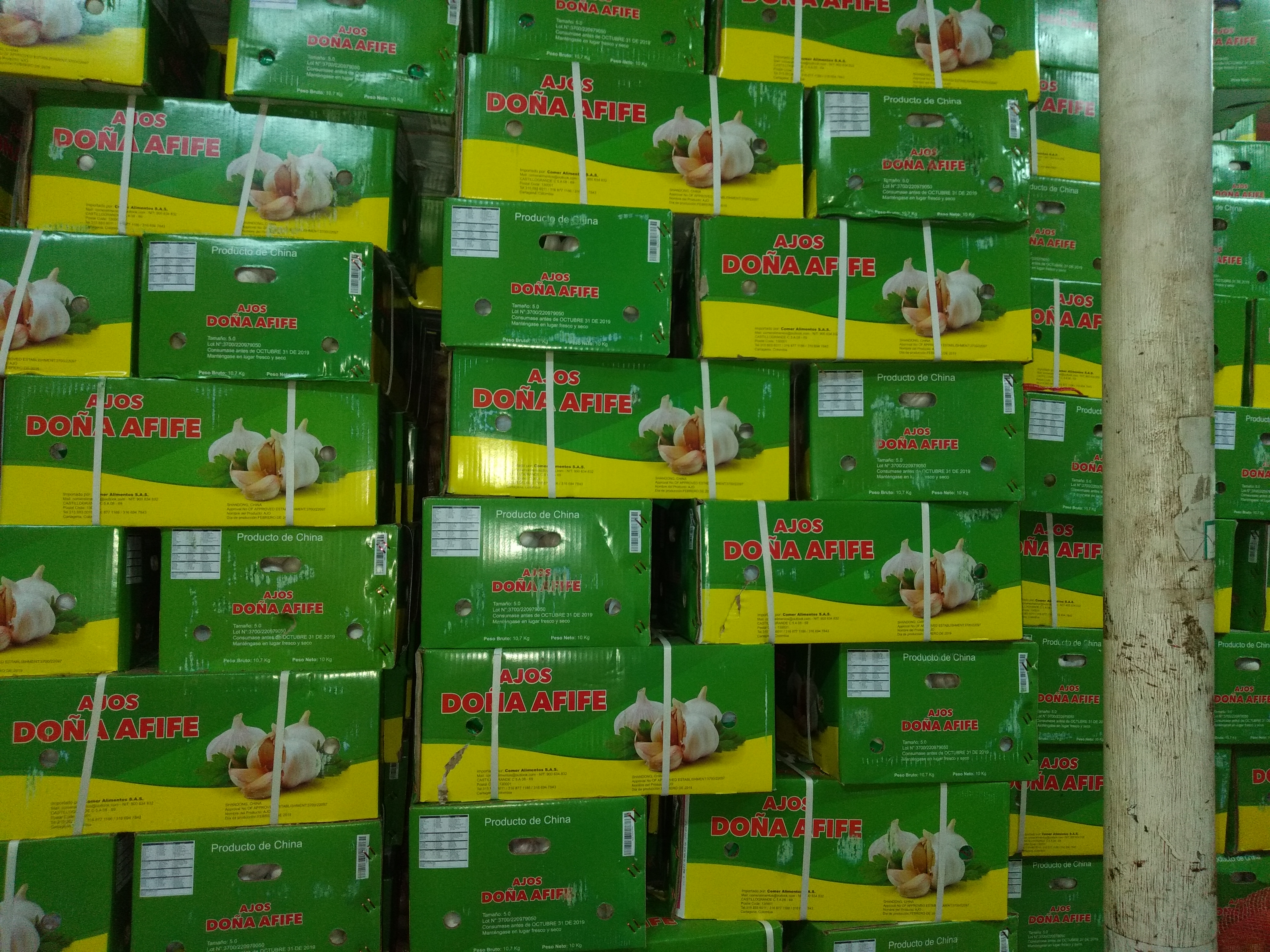 Ajo en malla caja x 10kg