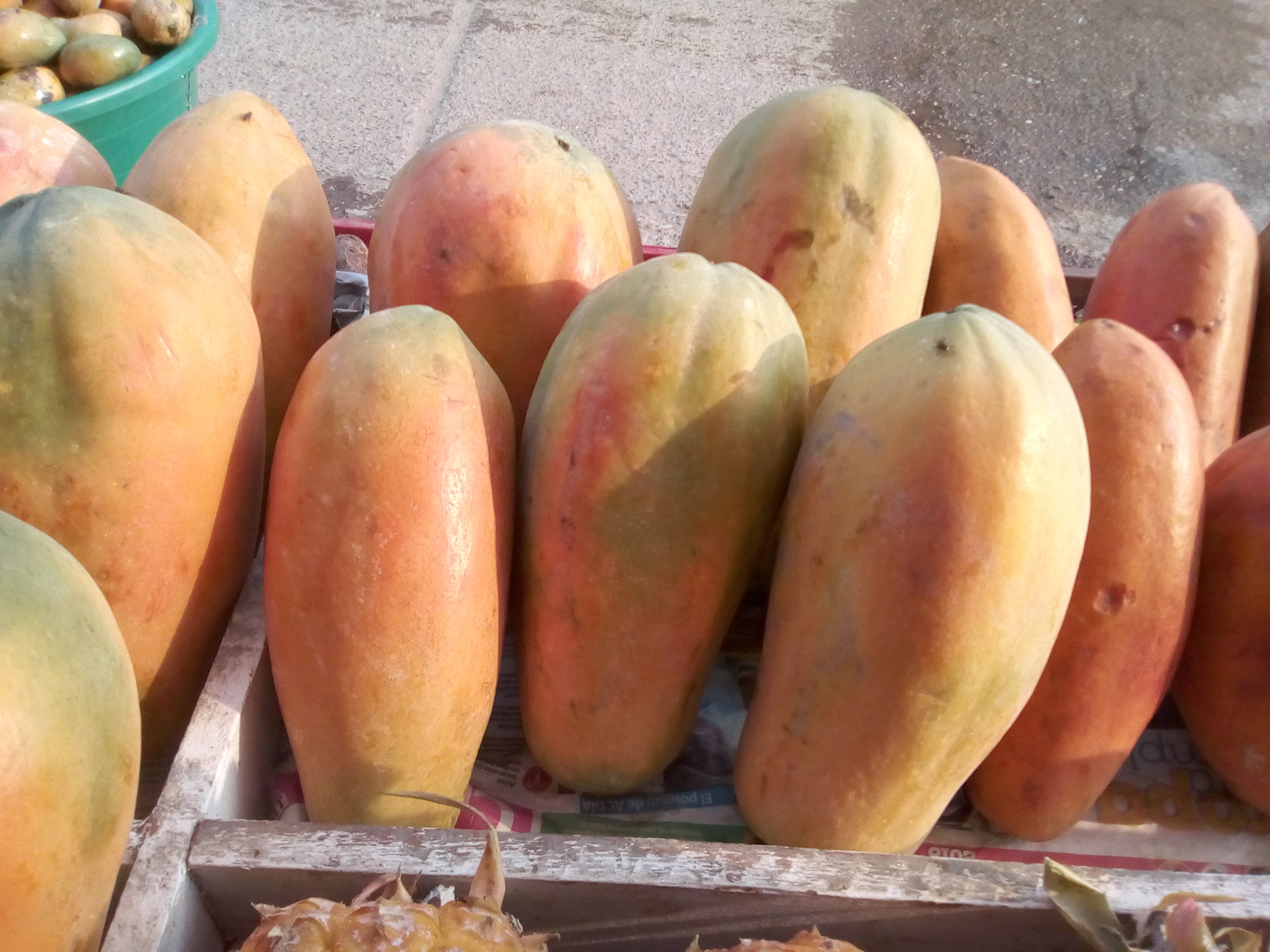 Papaya