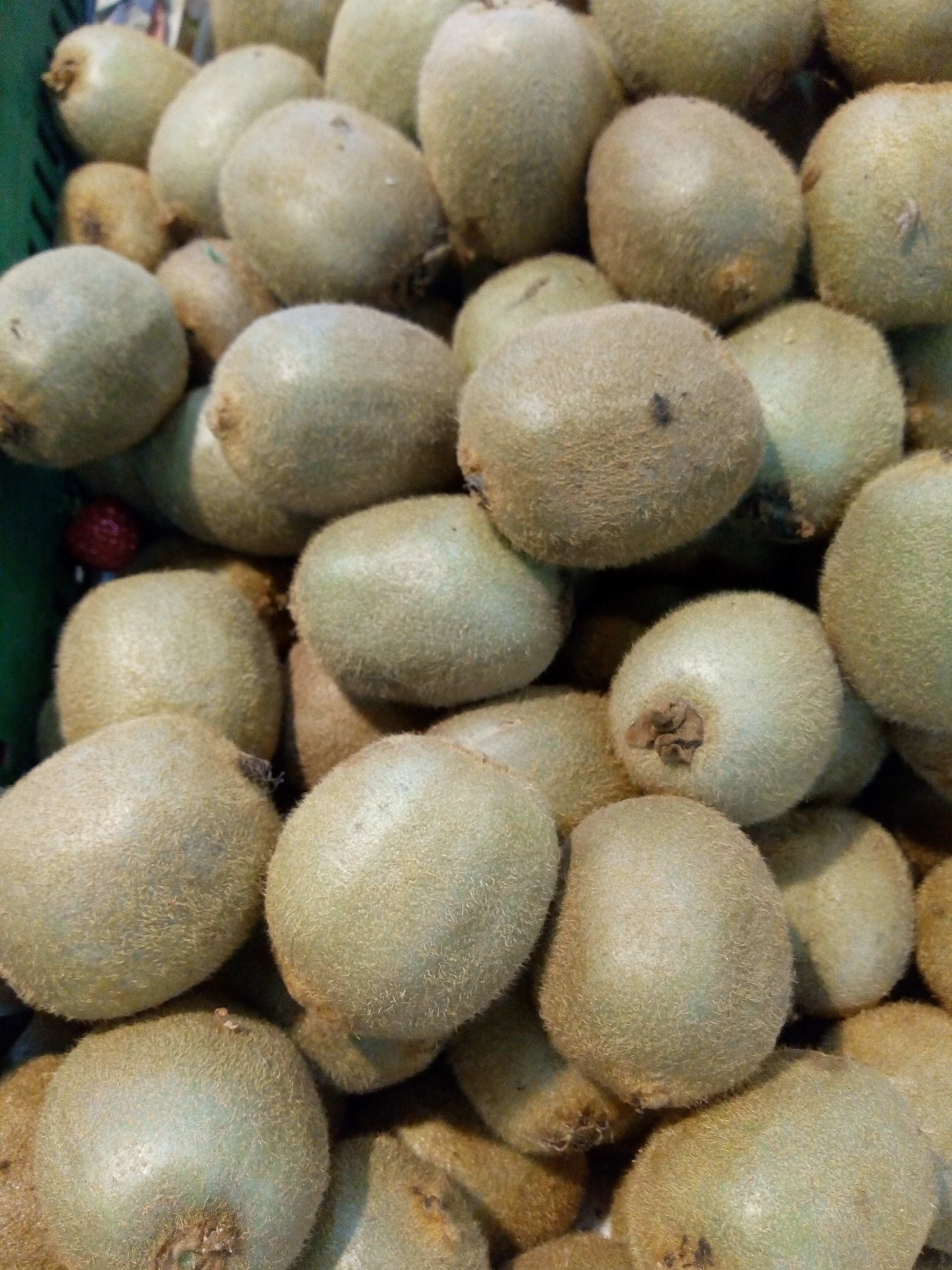 Kiwi
