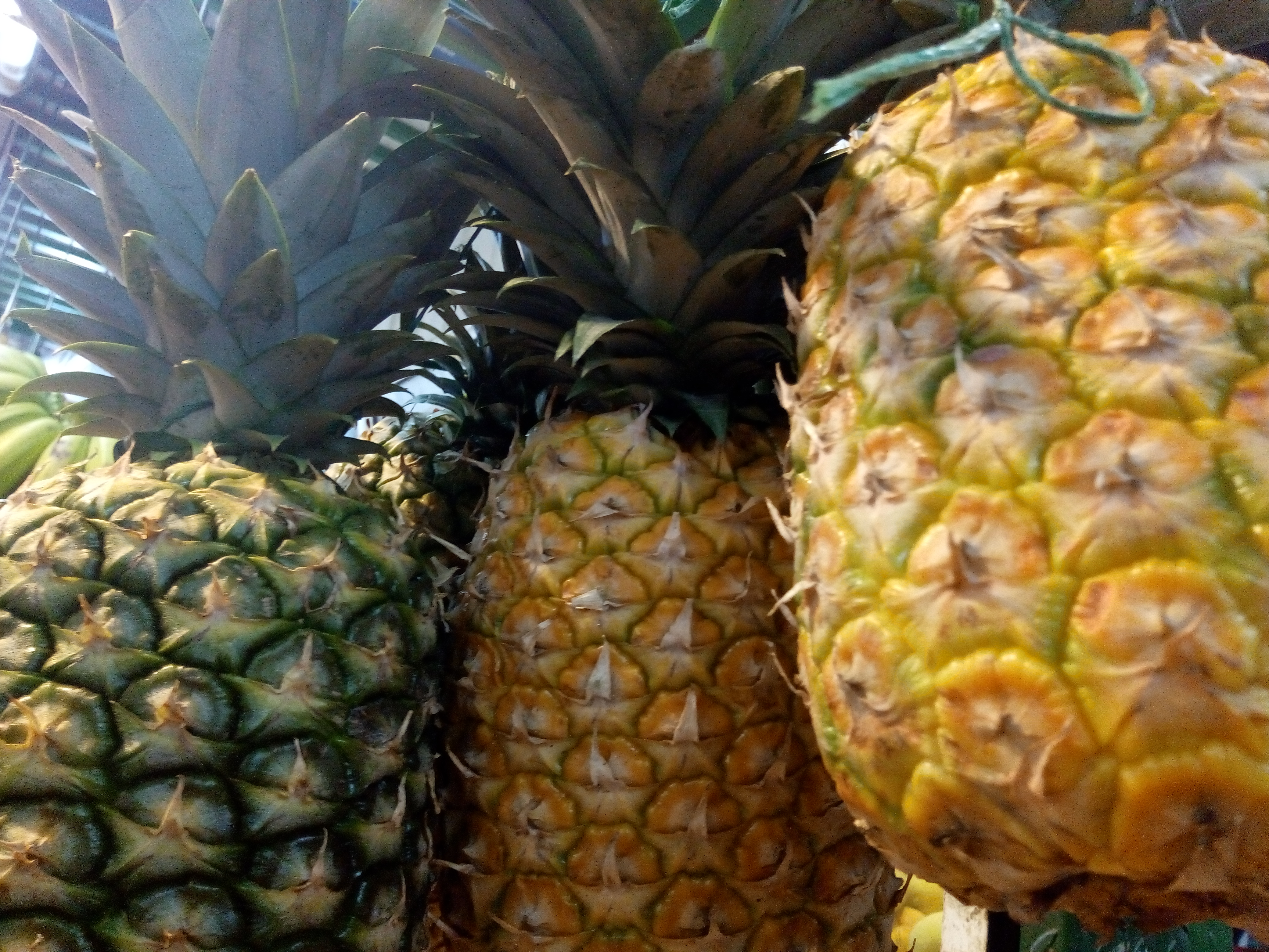 Piña