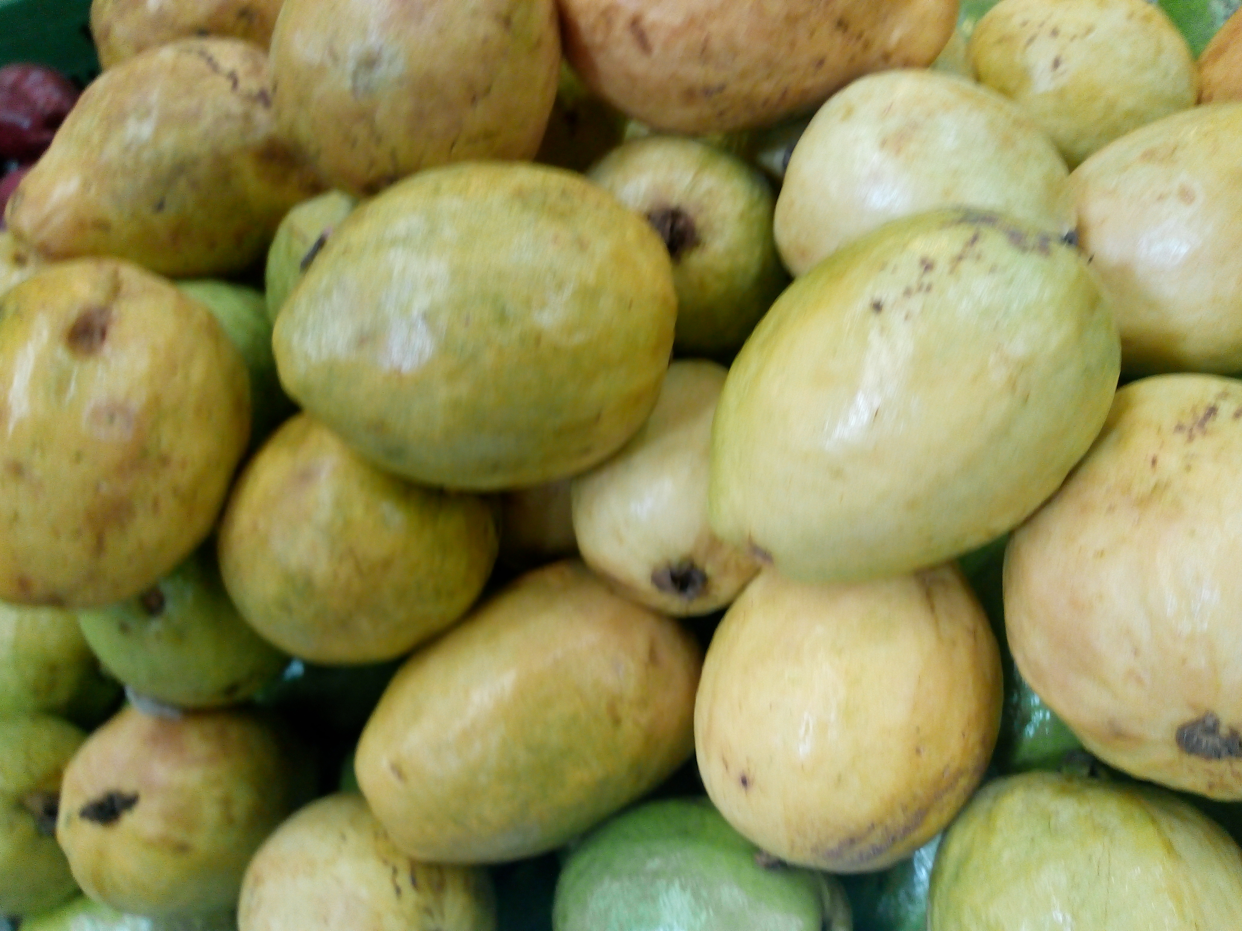 Guayaba pera