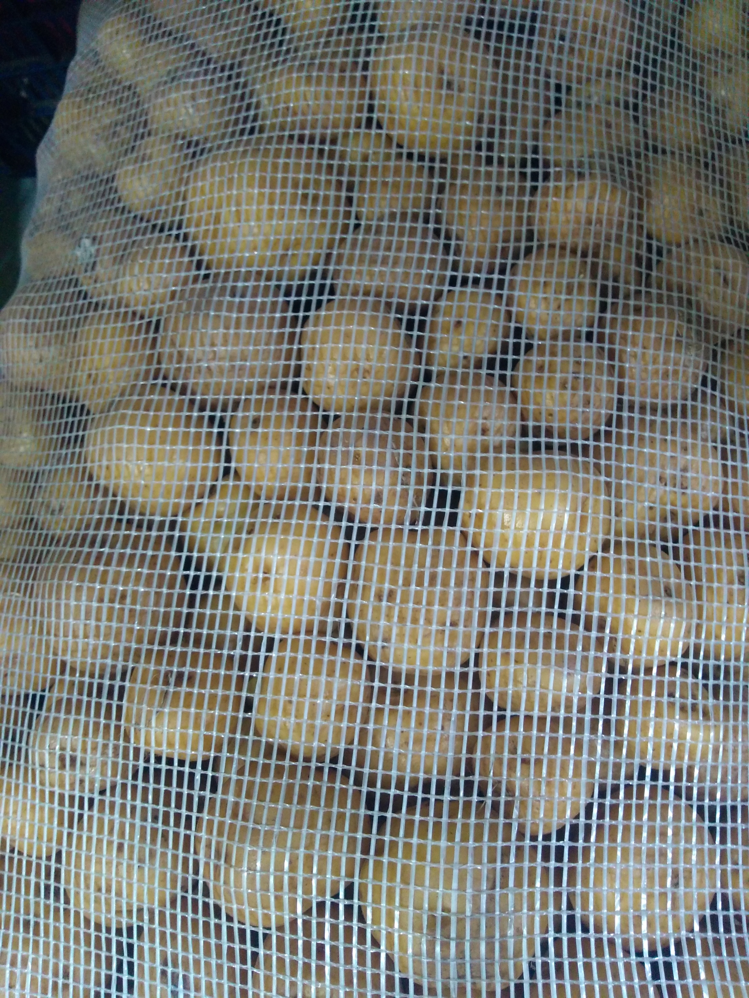 Papa amarilla