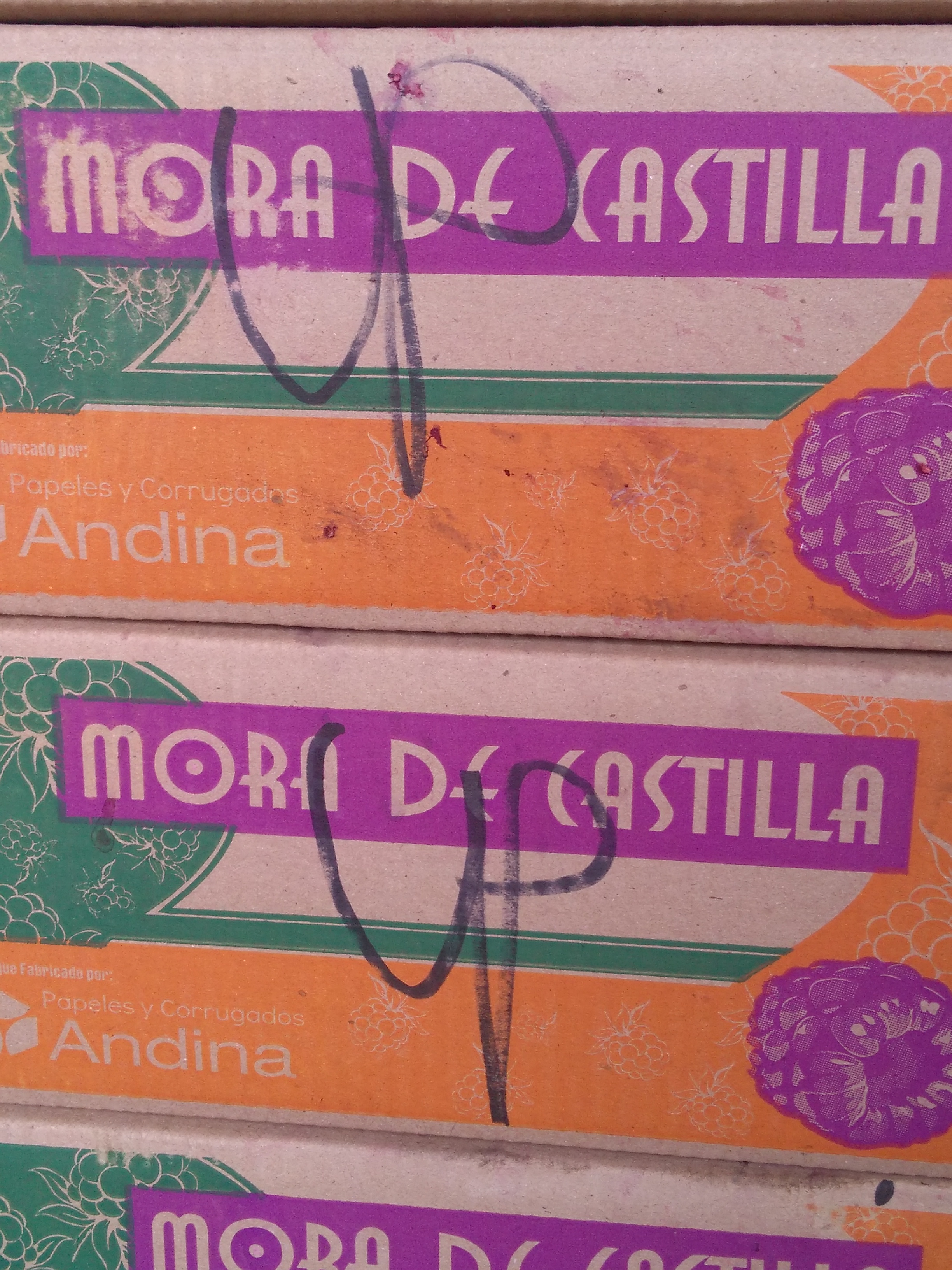 Mora grande