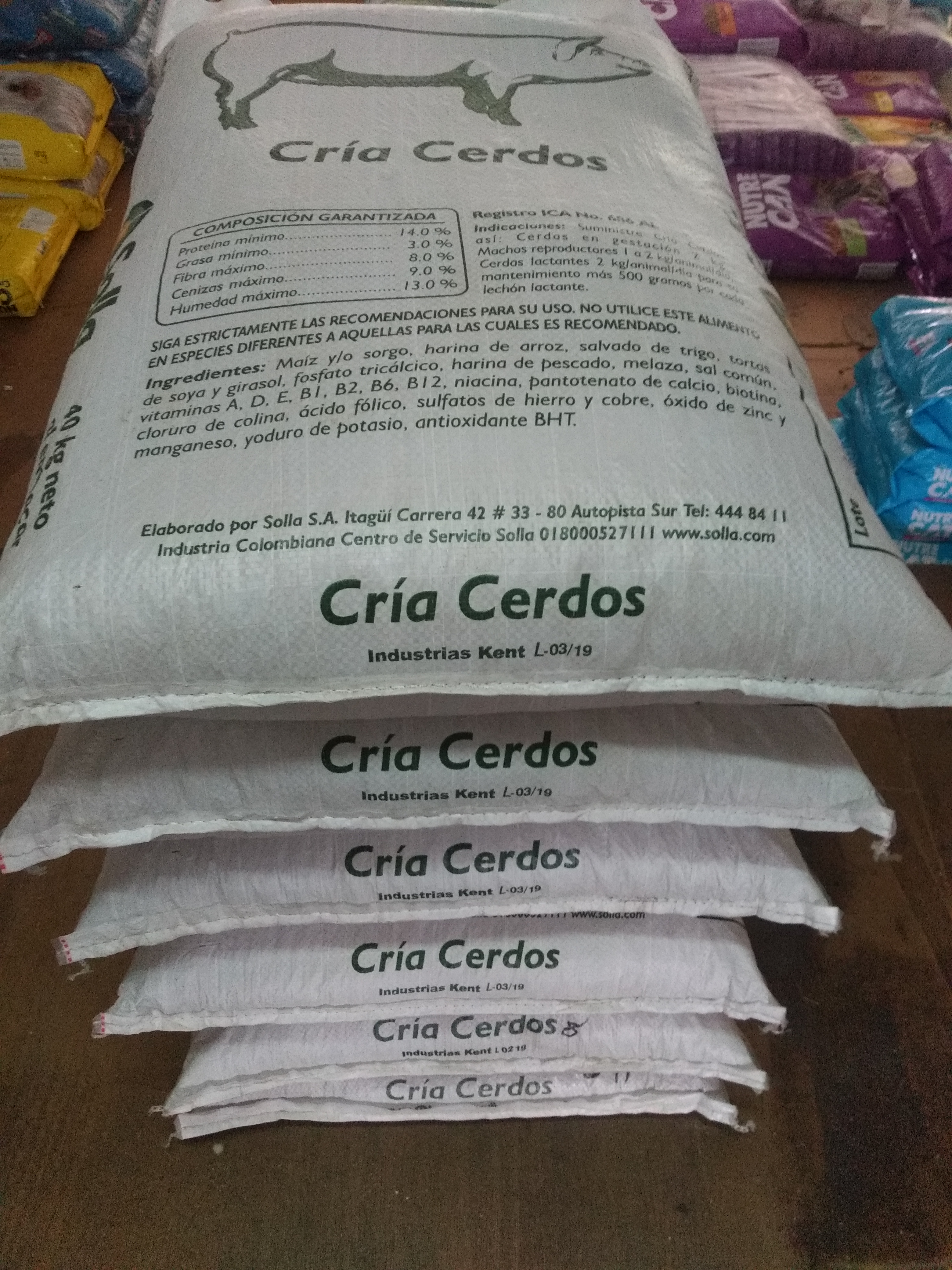 Cría cerdos x 40 kg