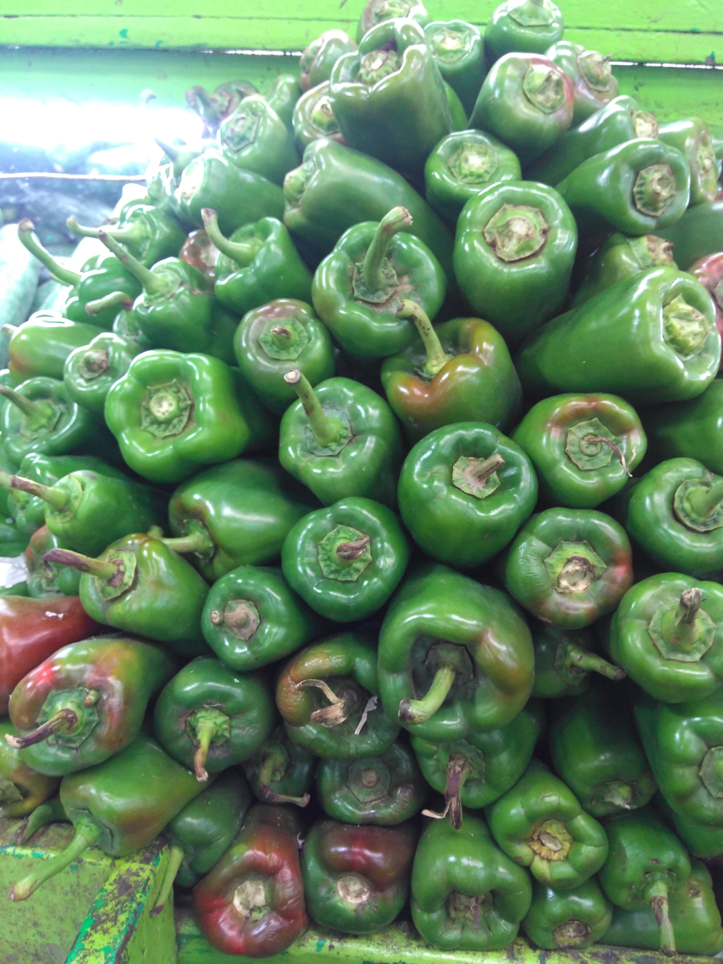 Pimentón verde