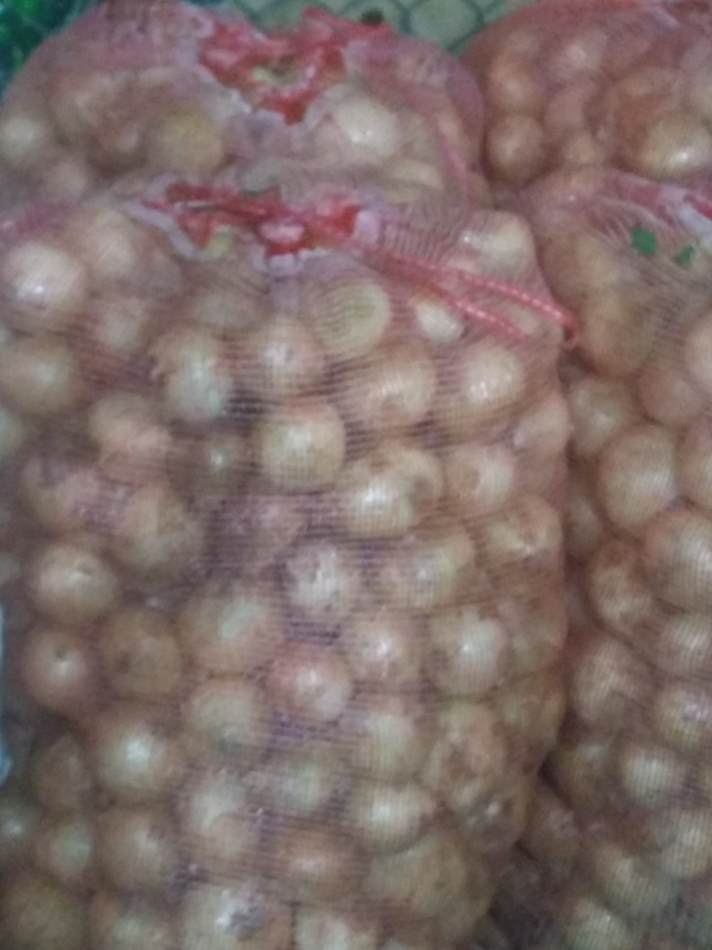 Cebolla blanca