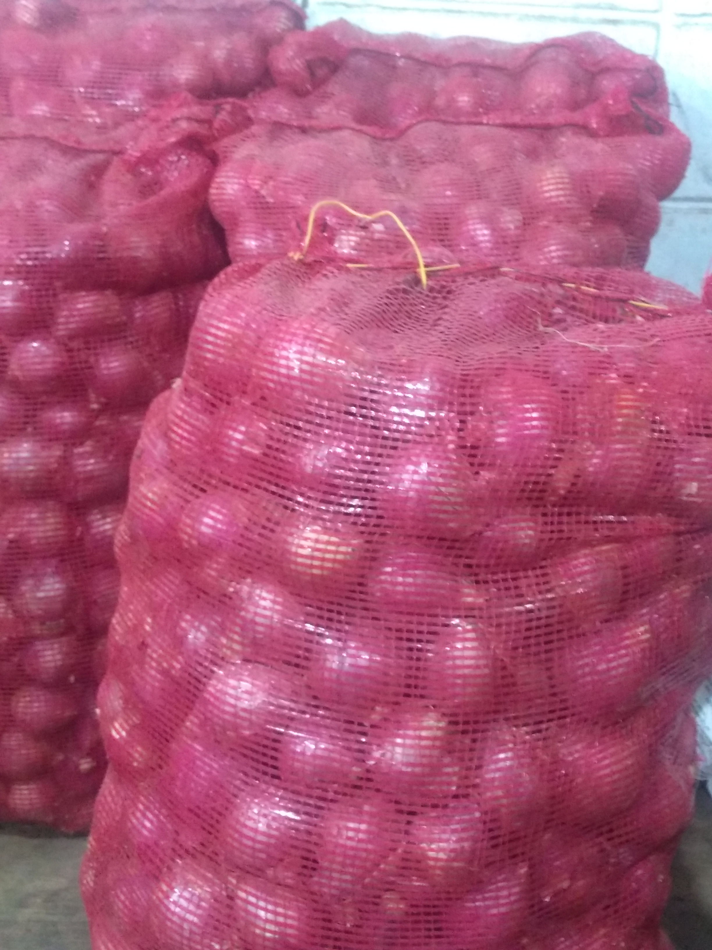 Cebolla