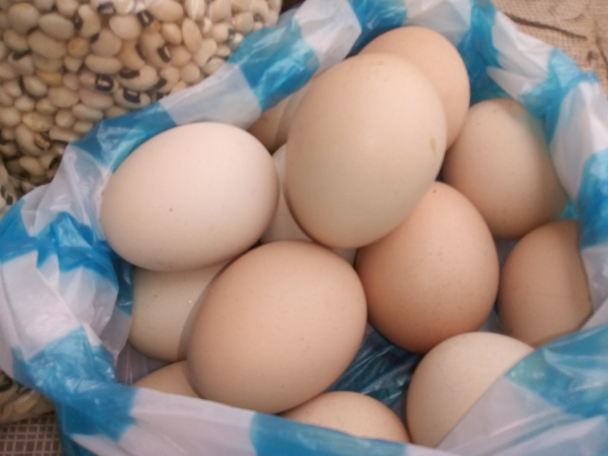 Huevos criollos