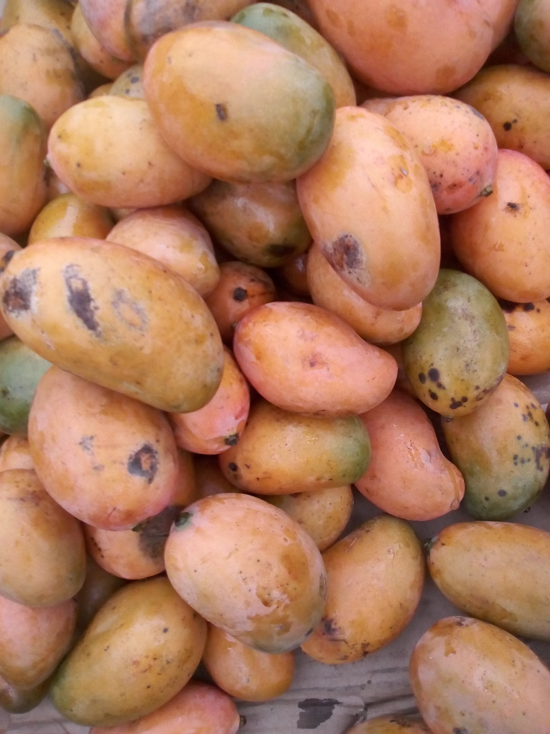 Mango bocado