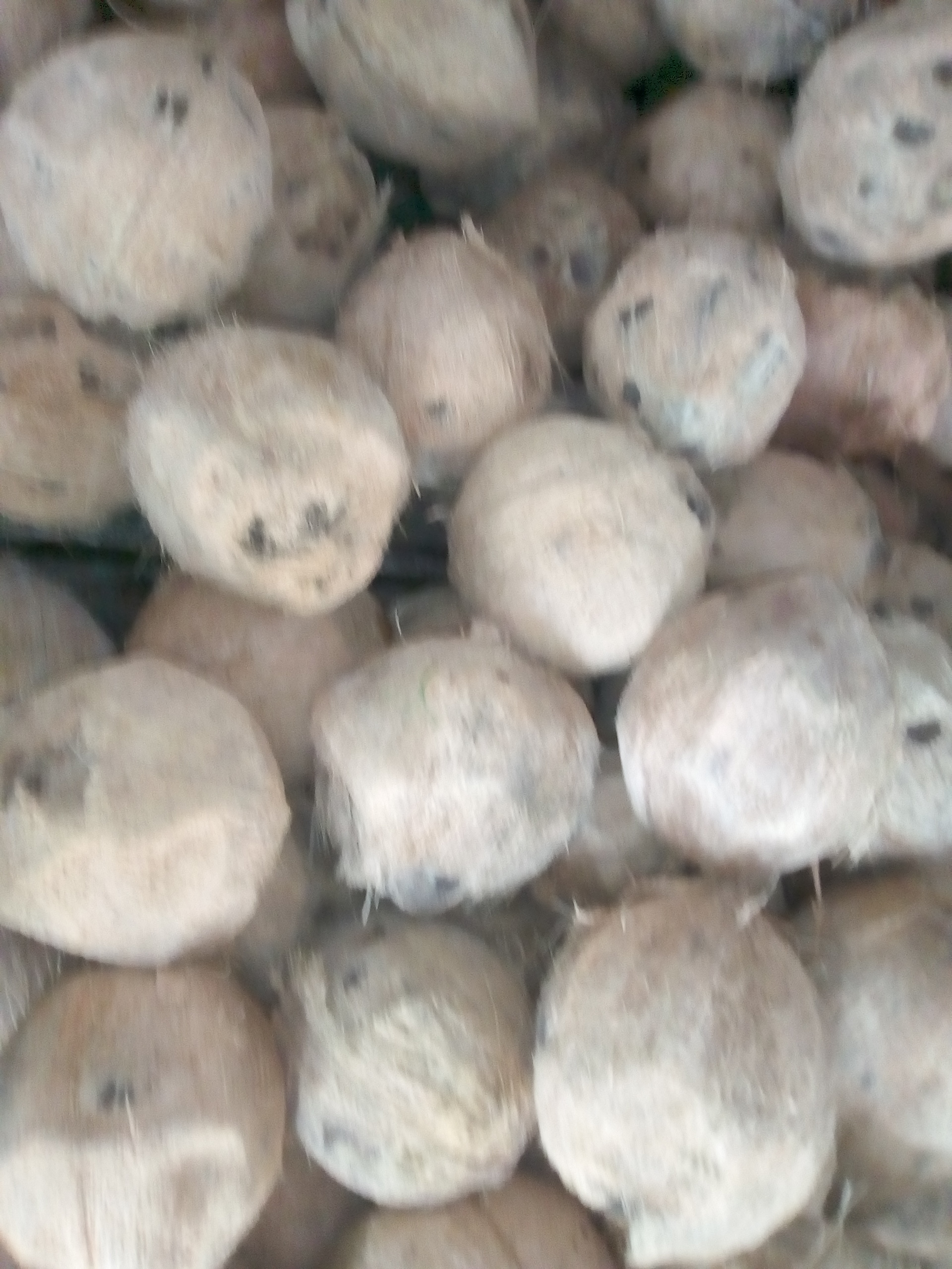 Coco