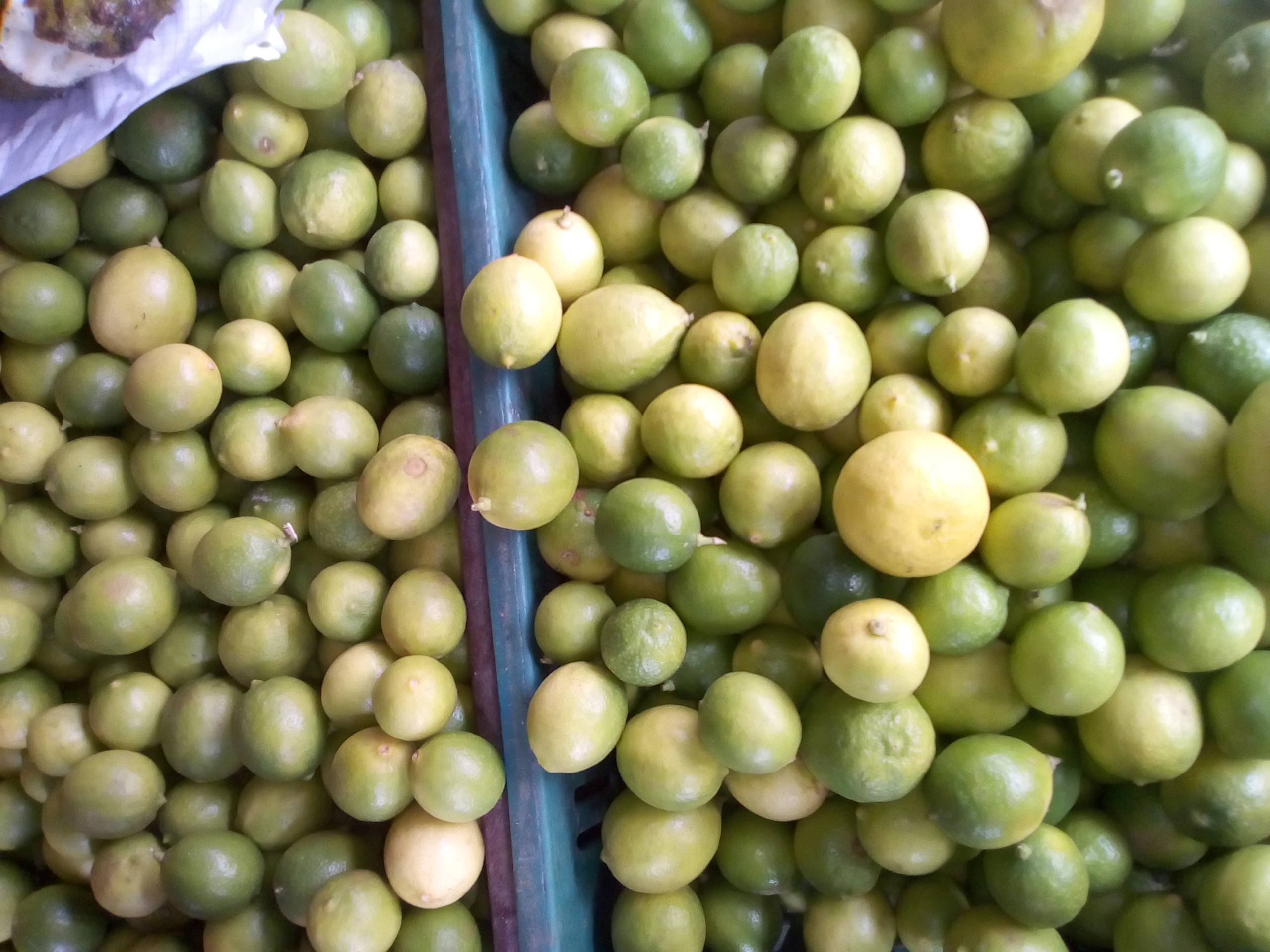 Limón